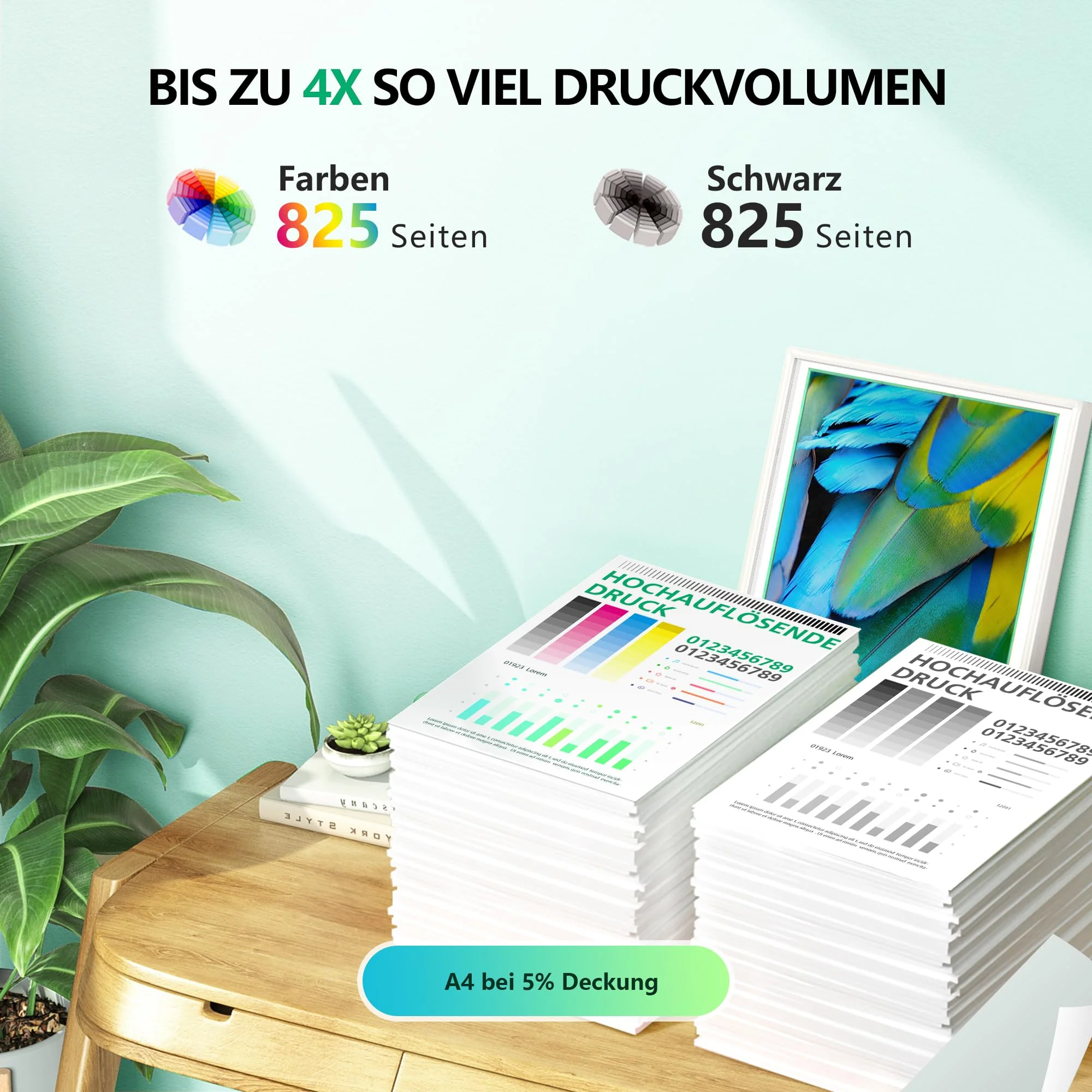 Vorschaubild 5