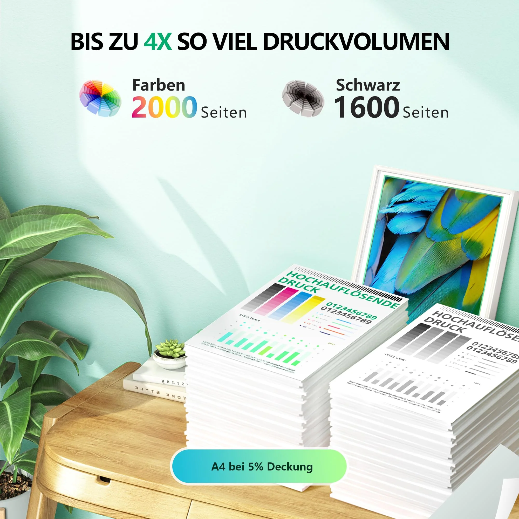 Vorschaubild 7