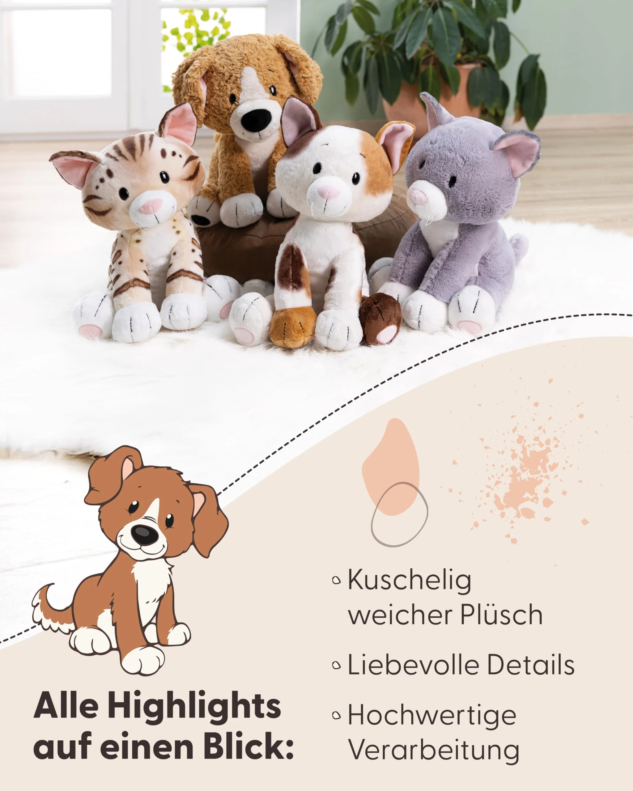 Vorschaubild 5