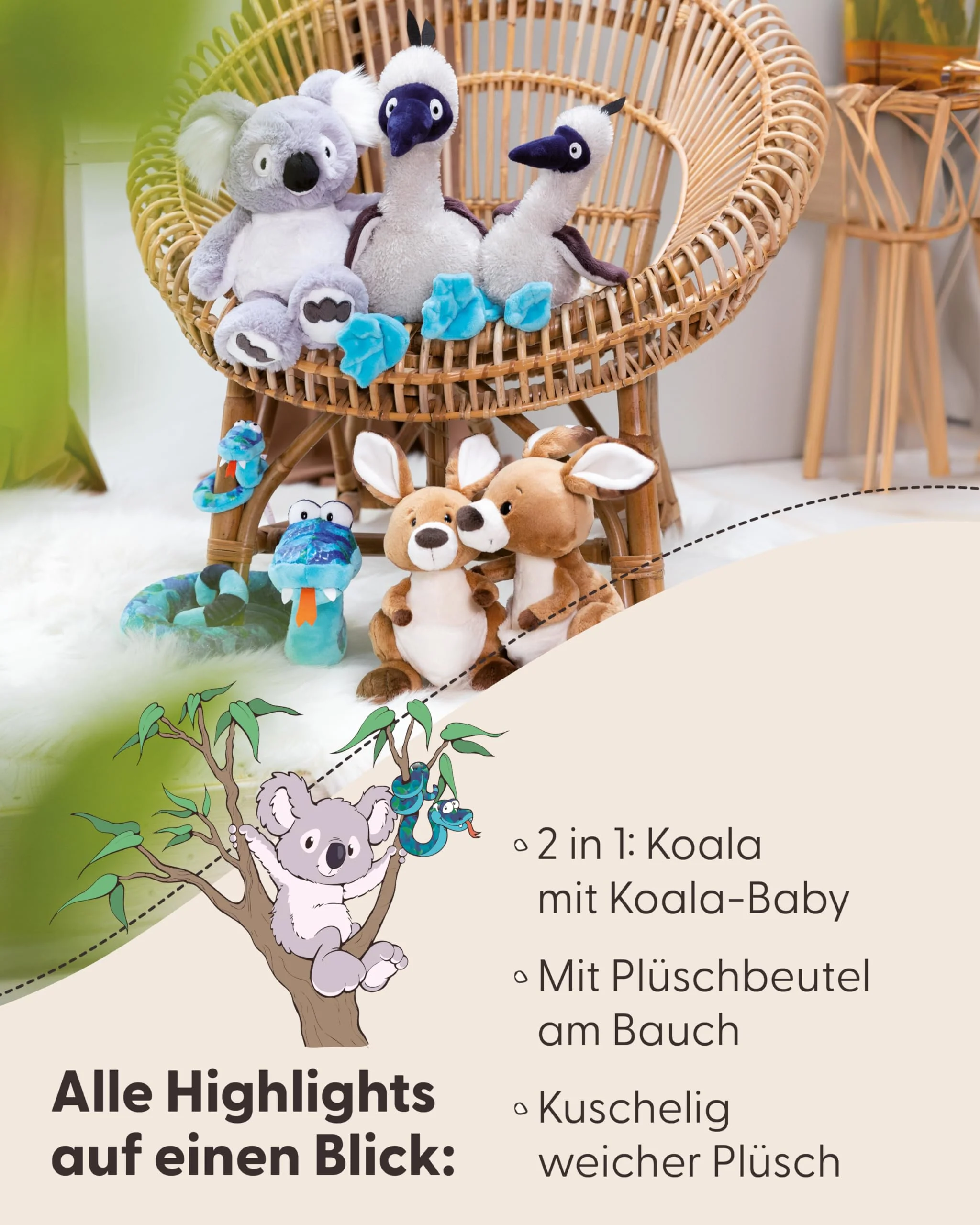Vorschaubild 5