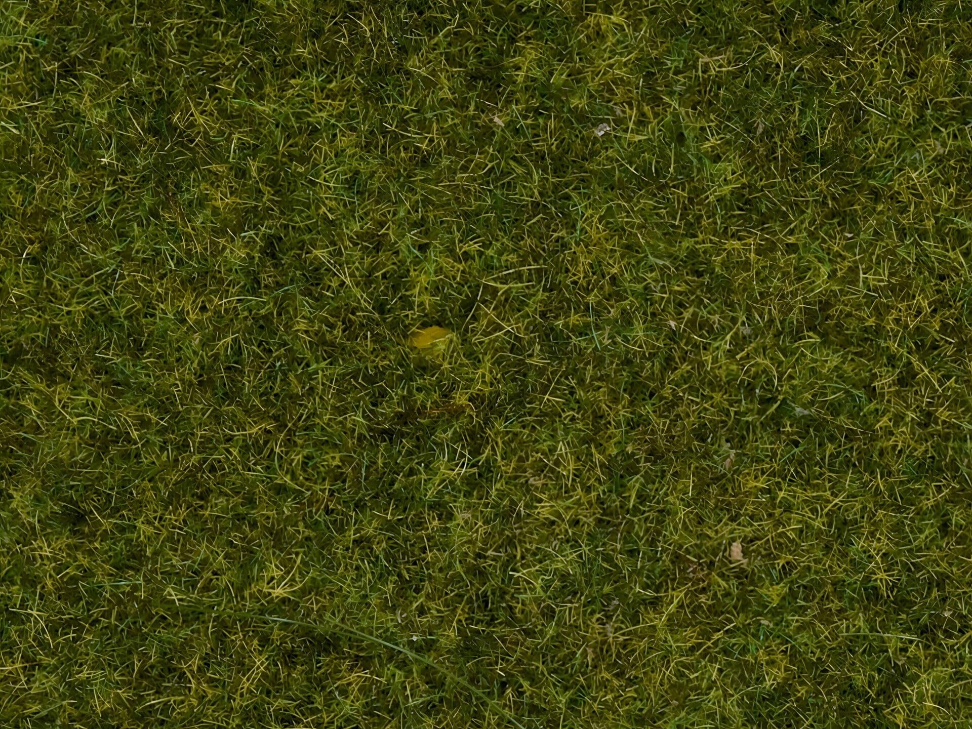 Vorschaubild 5