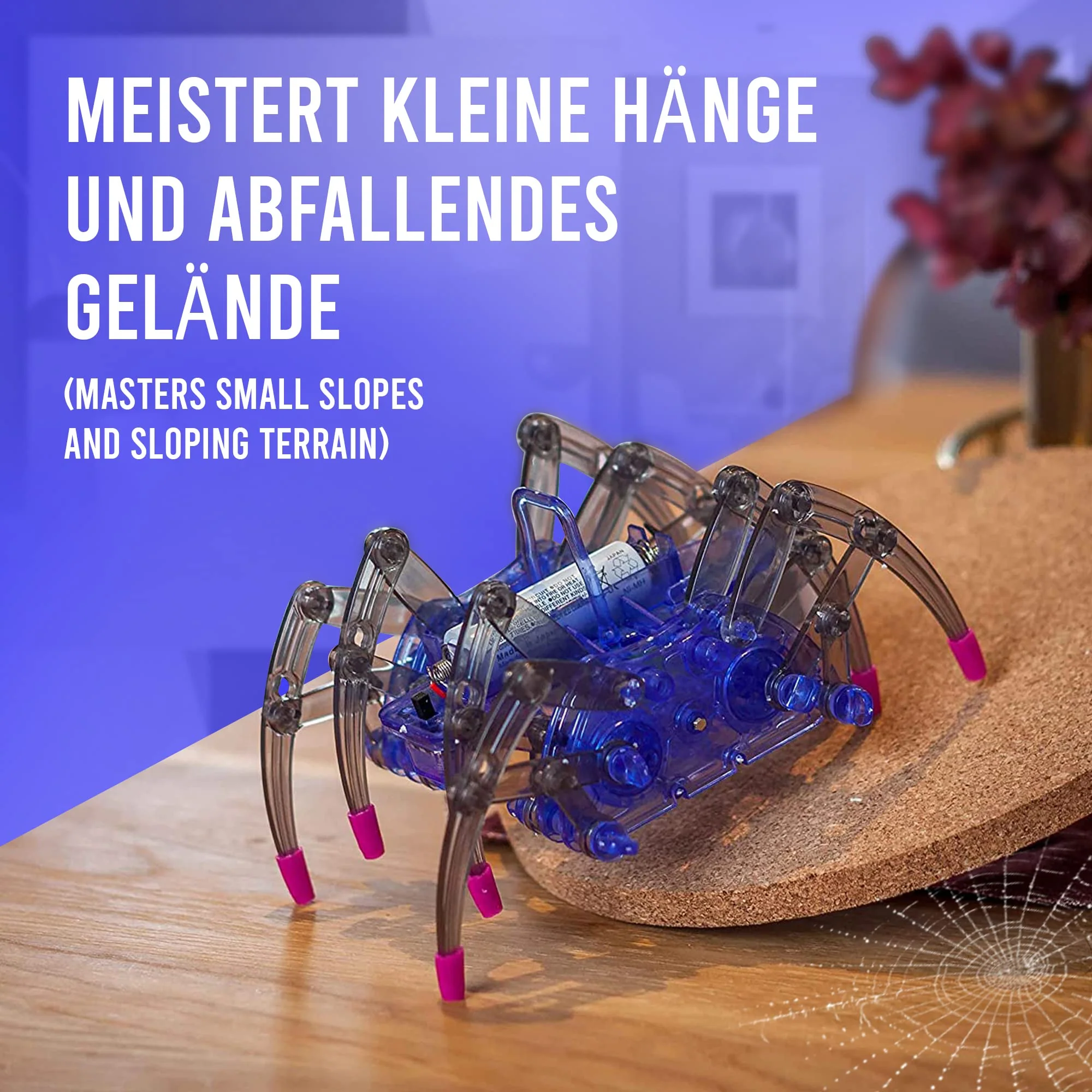Vorschaubild 2