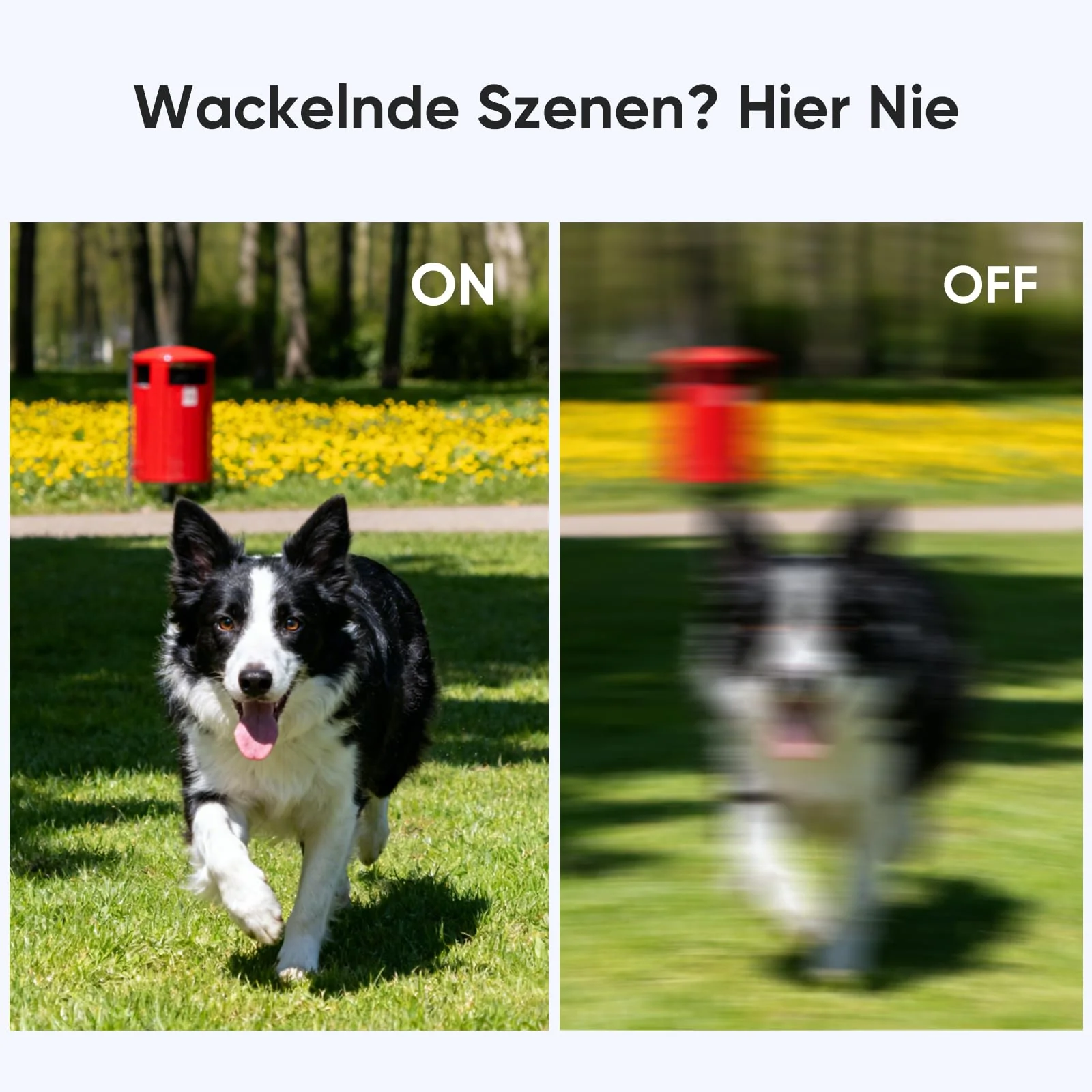 Vorschaubild 7
