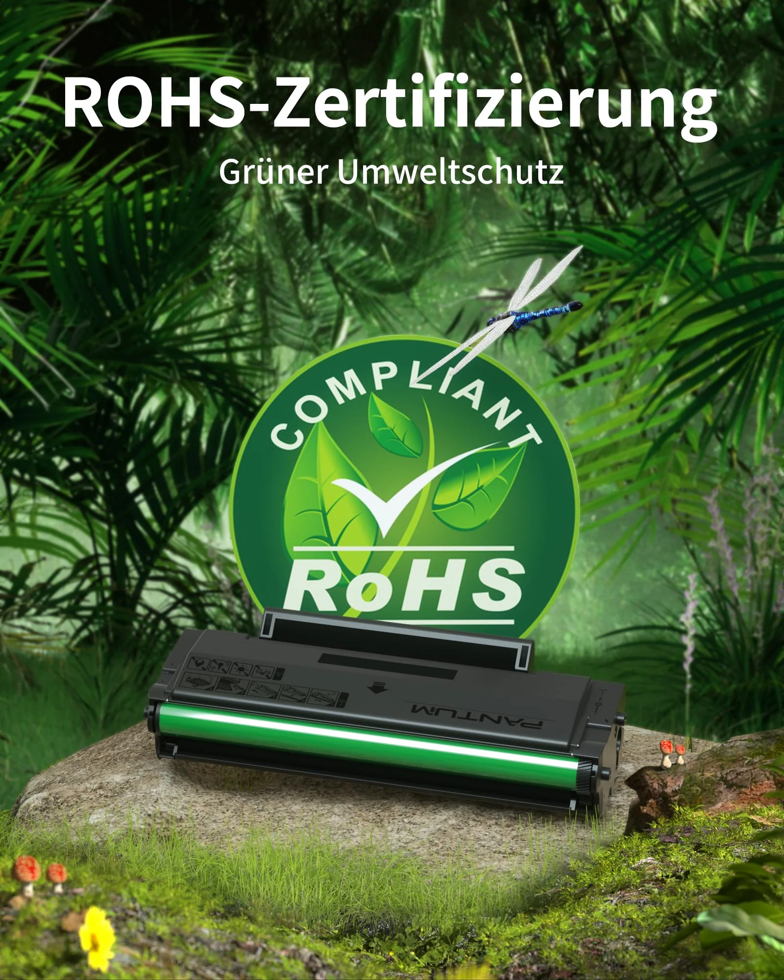 Vorschaubild 6