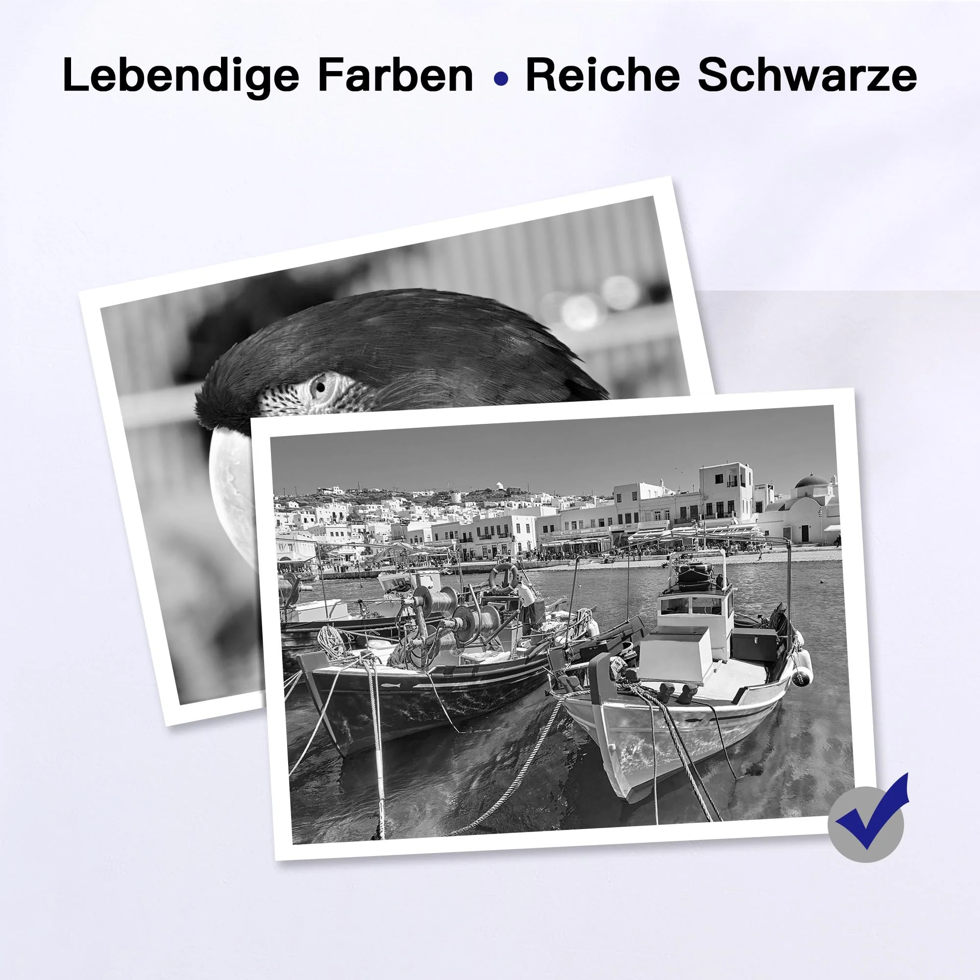 Vorschaubild 6