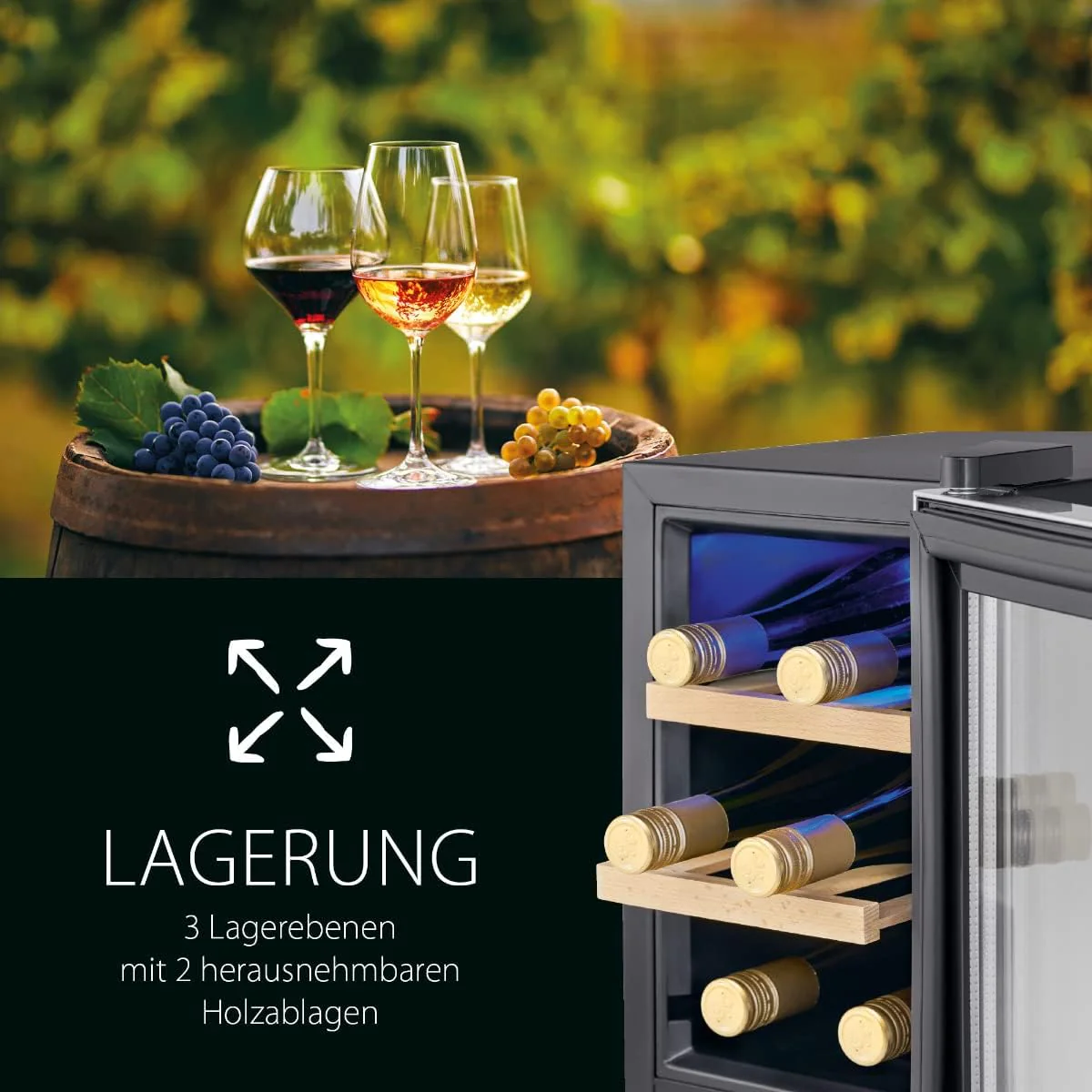 Vorschaubild 11