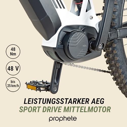 Vorschaubild 7