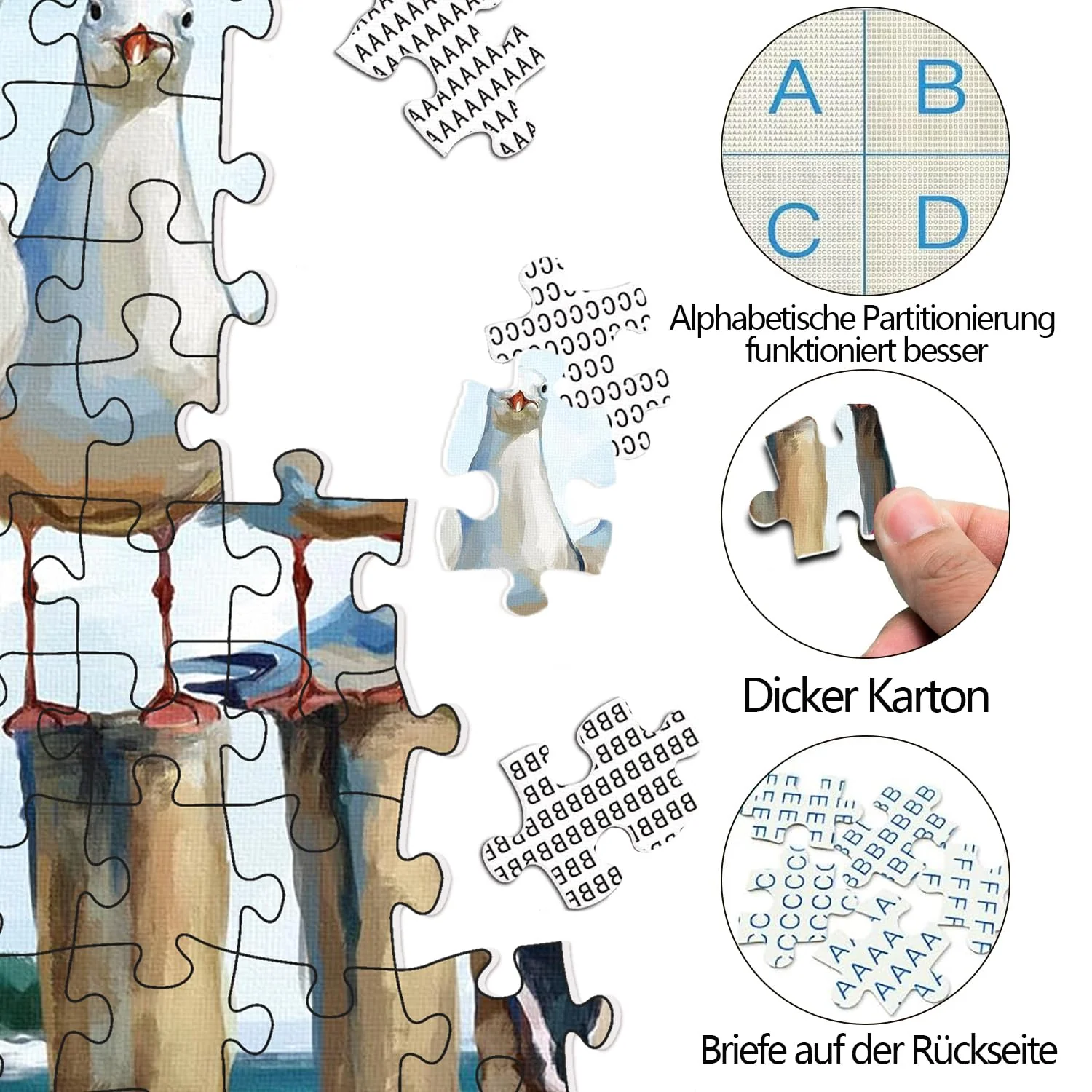 Vorschaubild 6