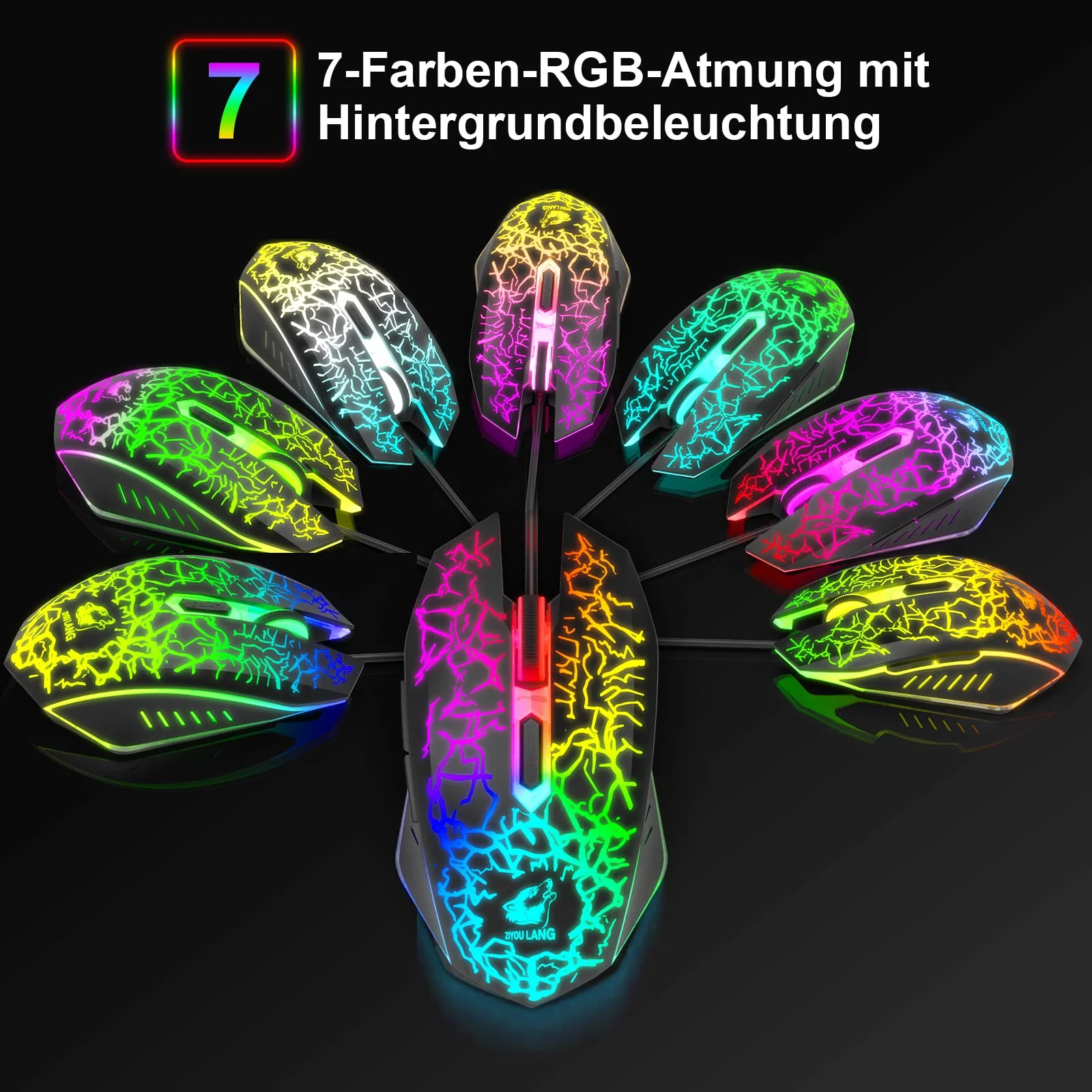 Vorschaubild 5
