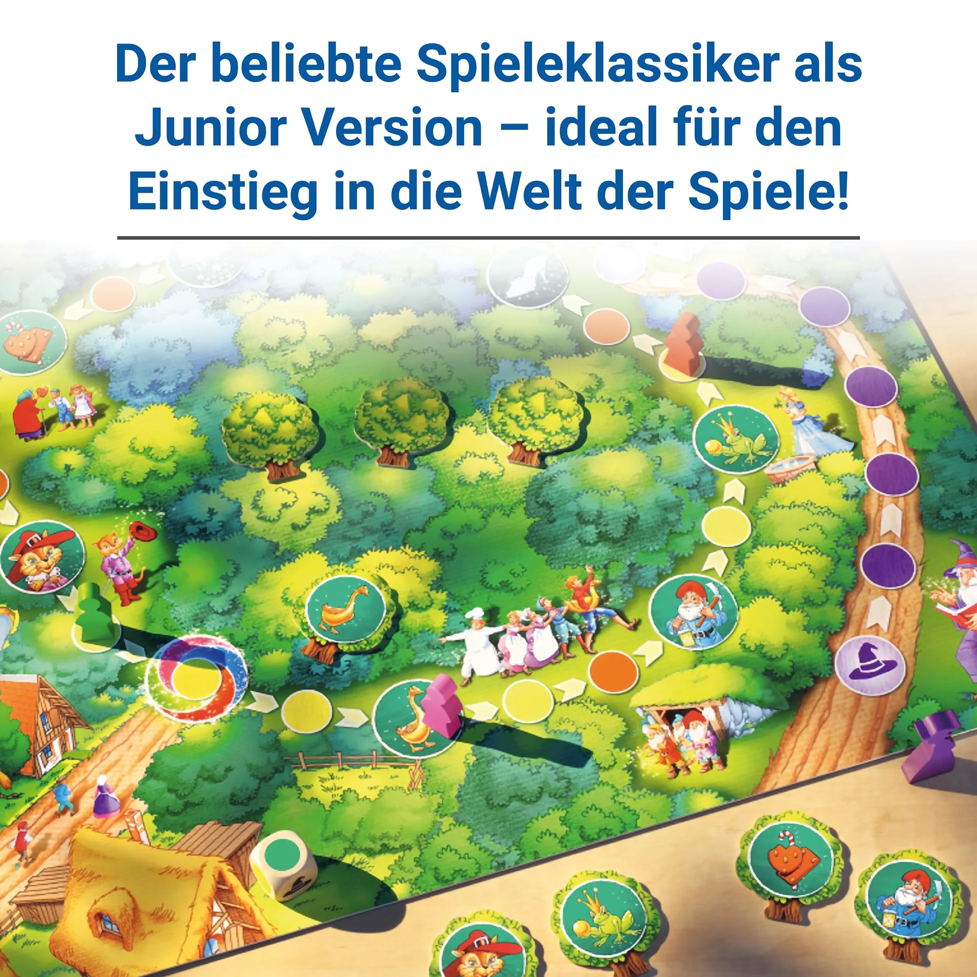 Vorschaubild 5