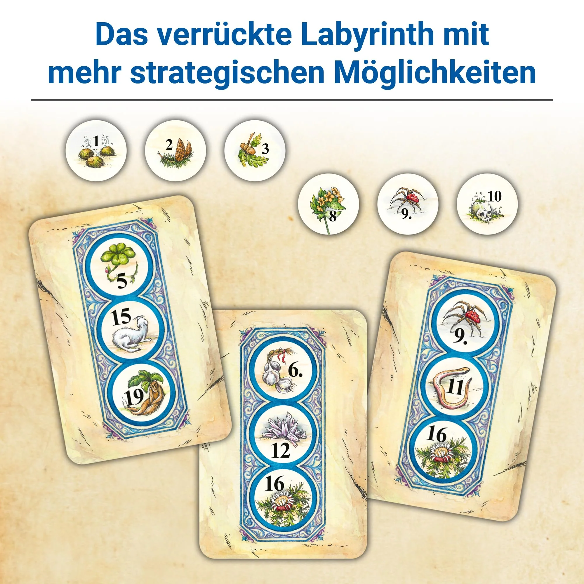 Vorschaubild 6