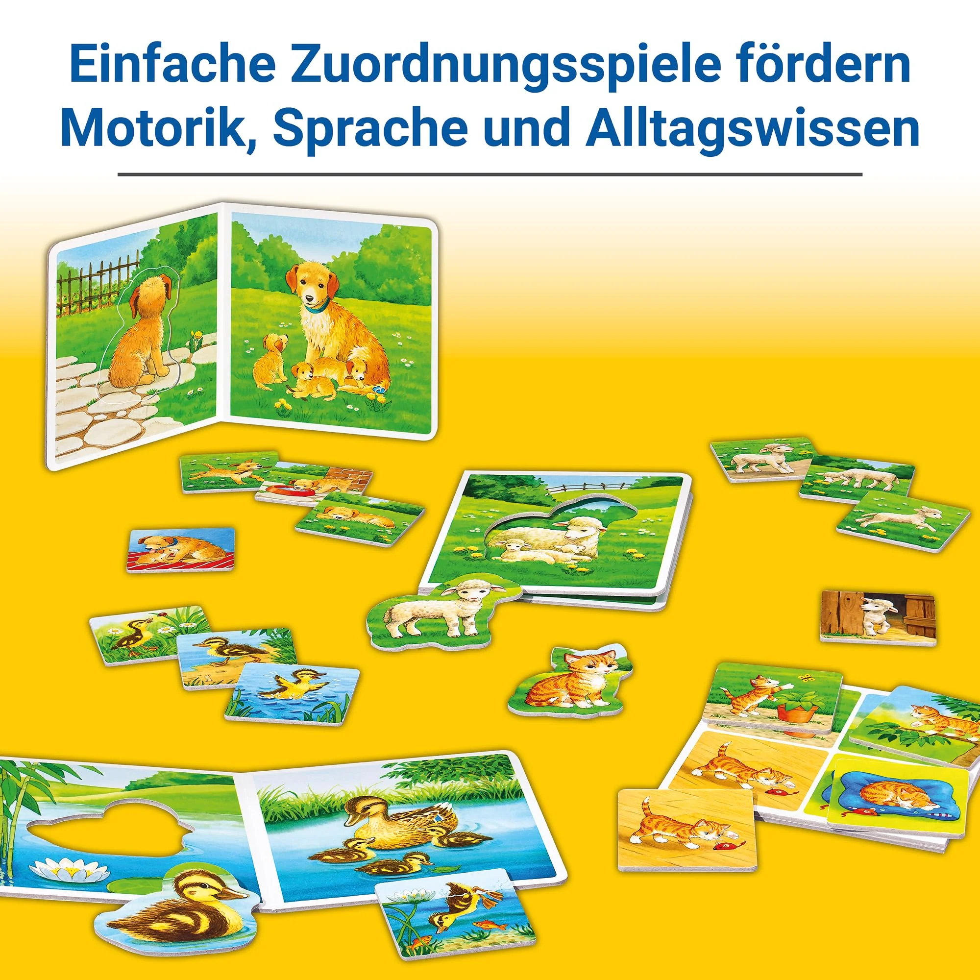 Vorschaubild 5
