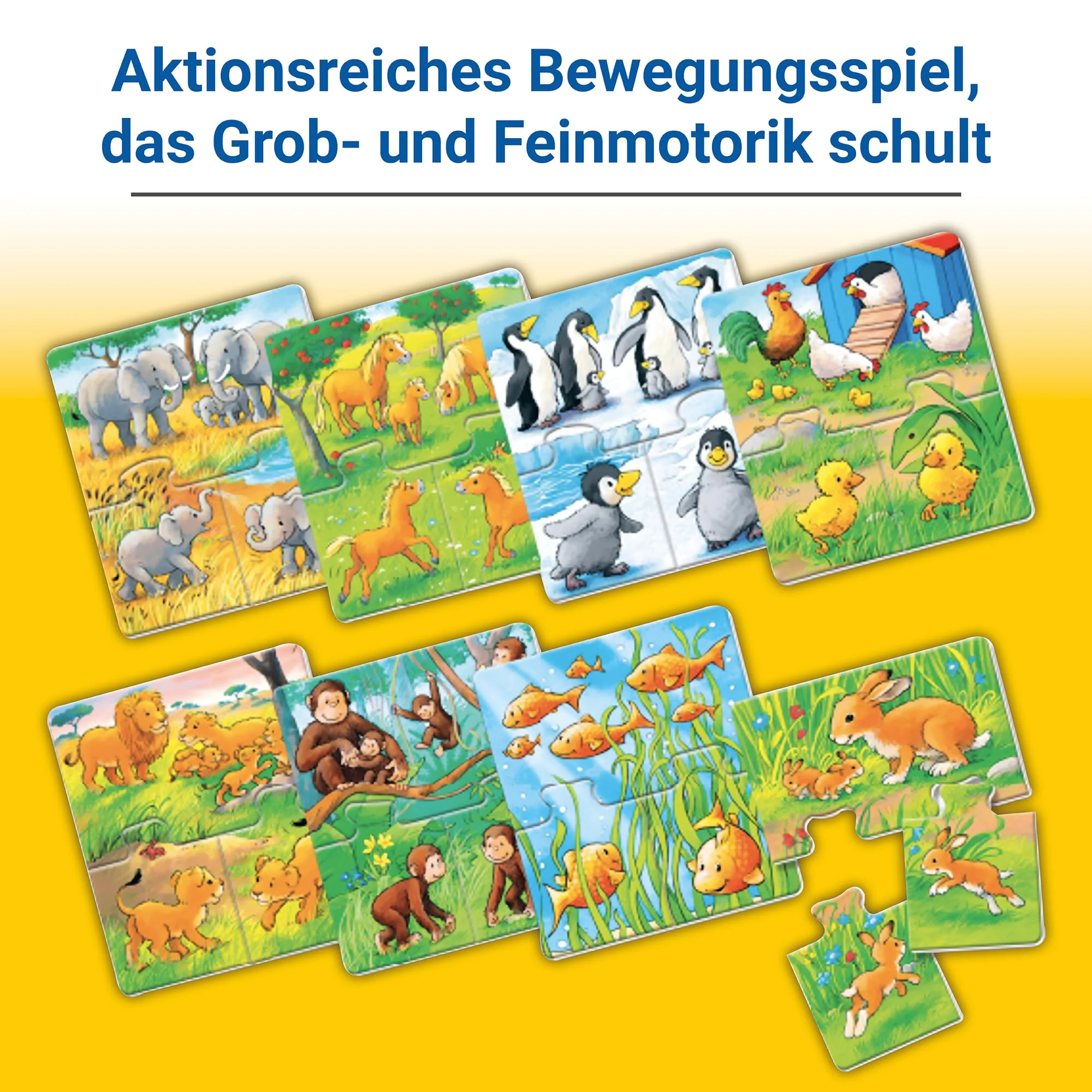 Vorschaubild 5