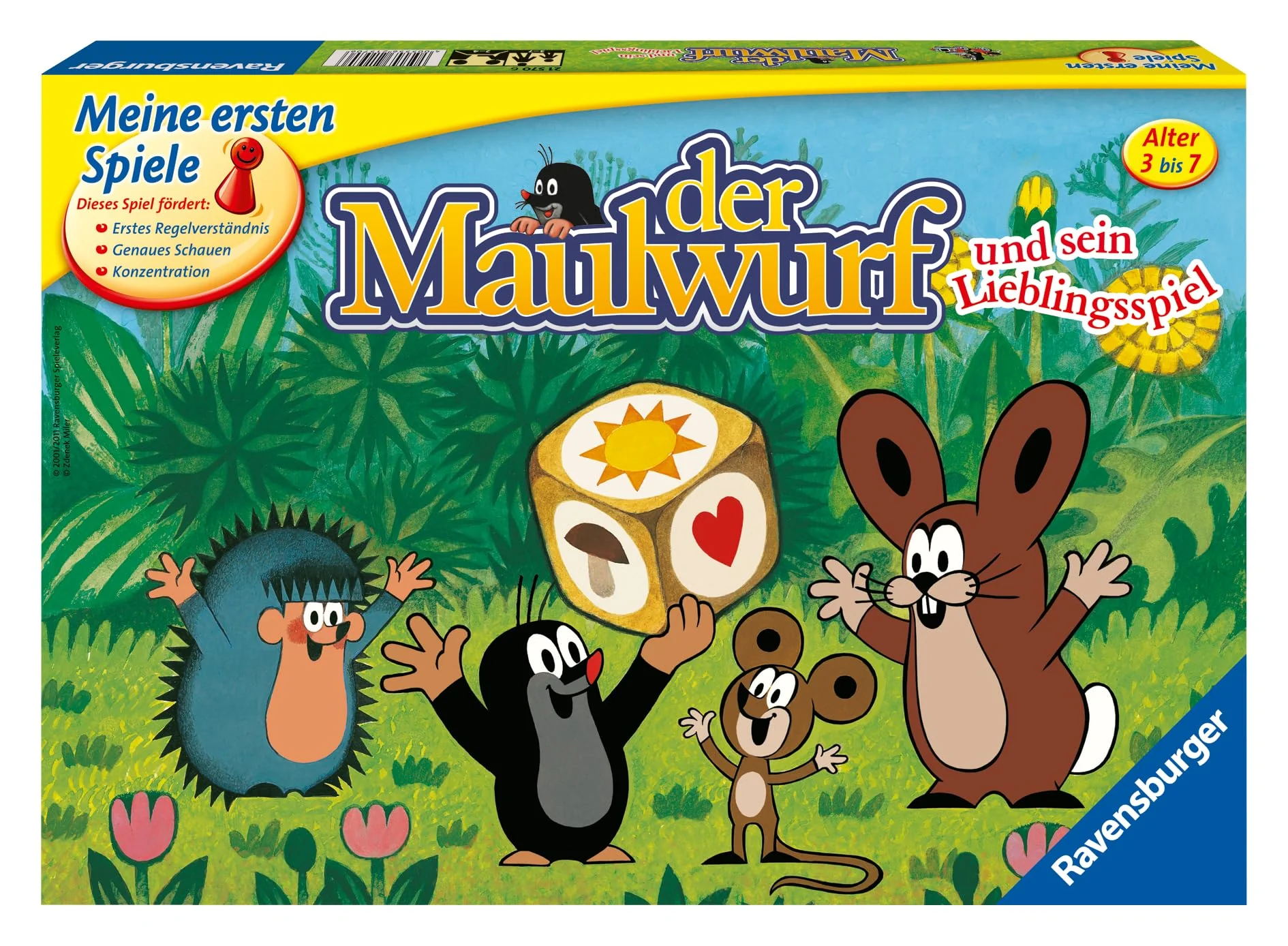Vorschaubild 5