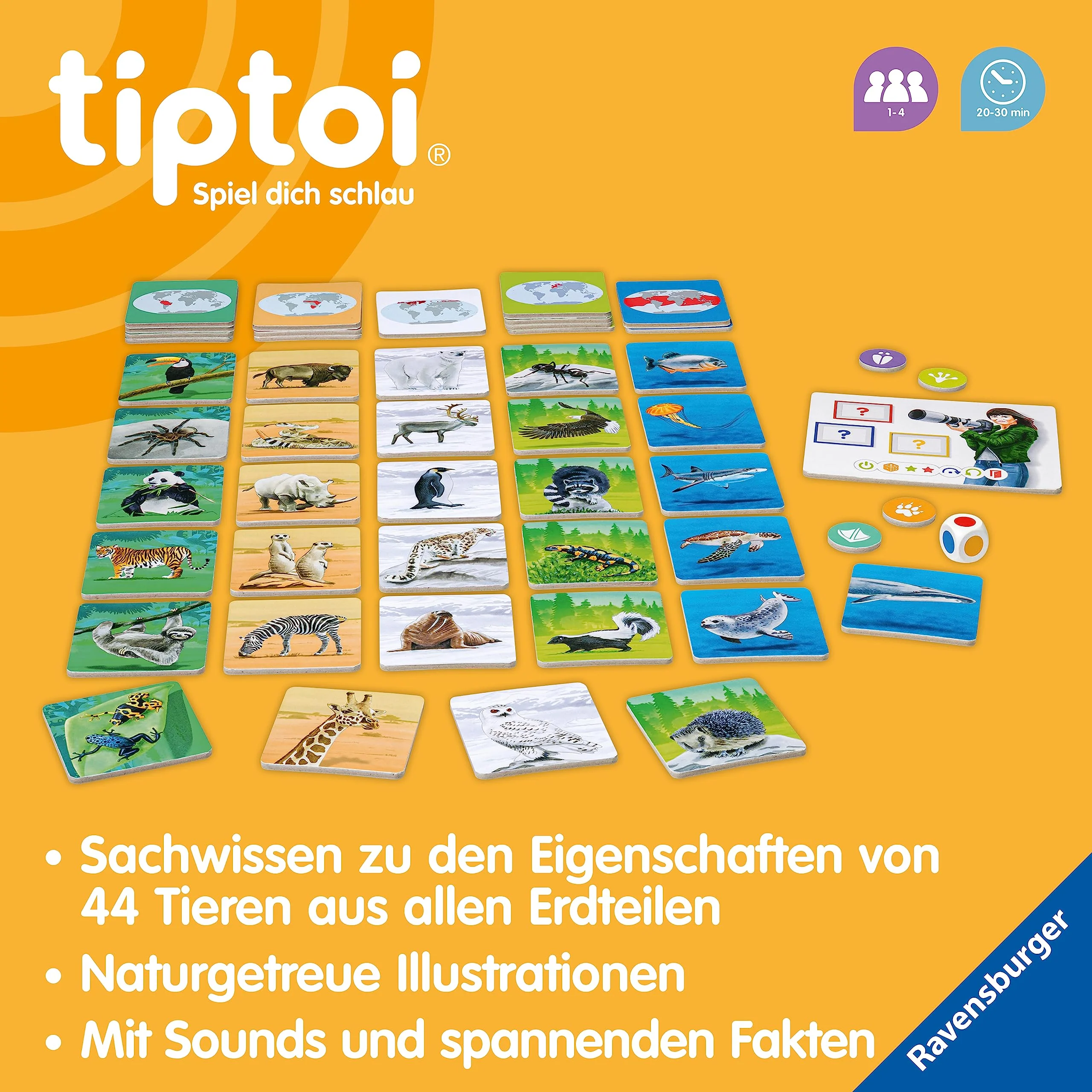Vorschaubild 6