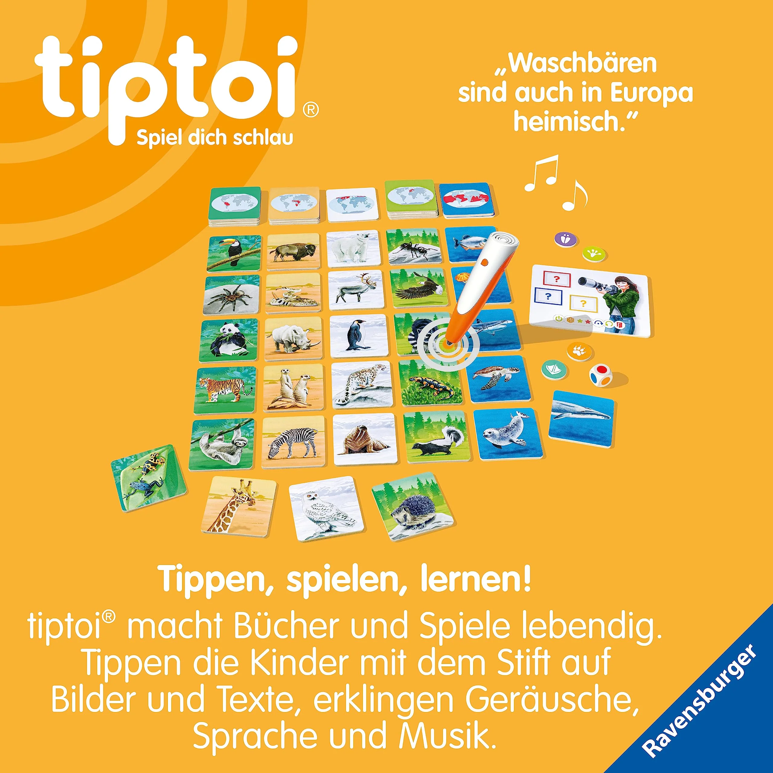 Vorschaubild 7