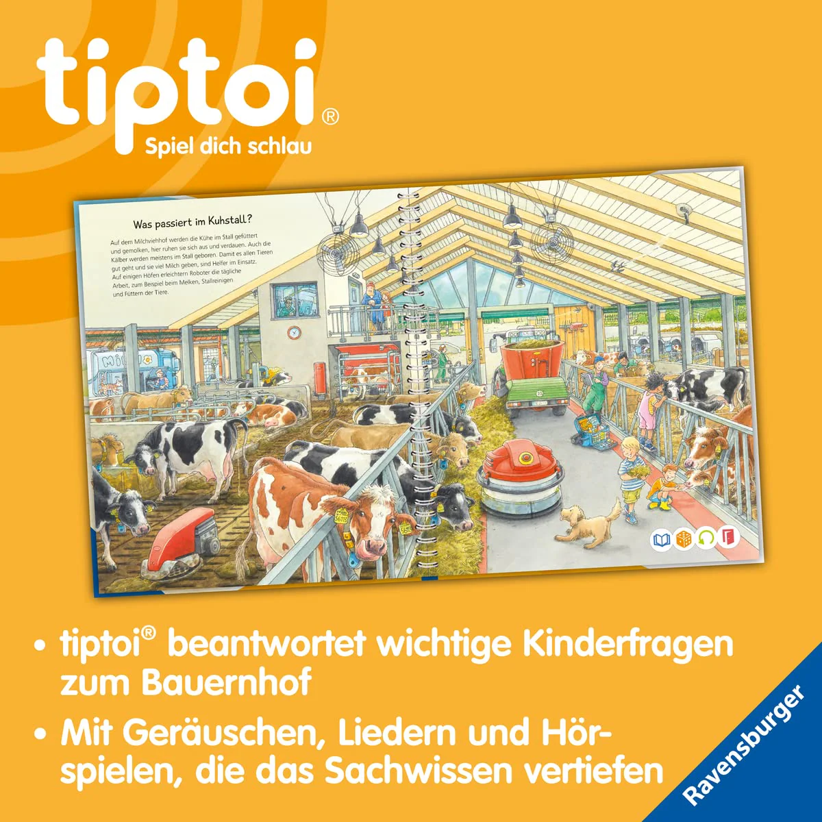 Vorschaubild 5