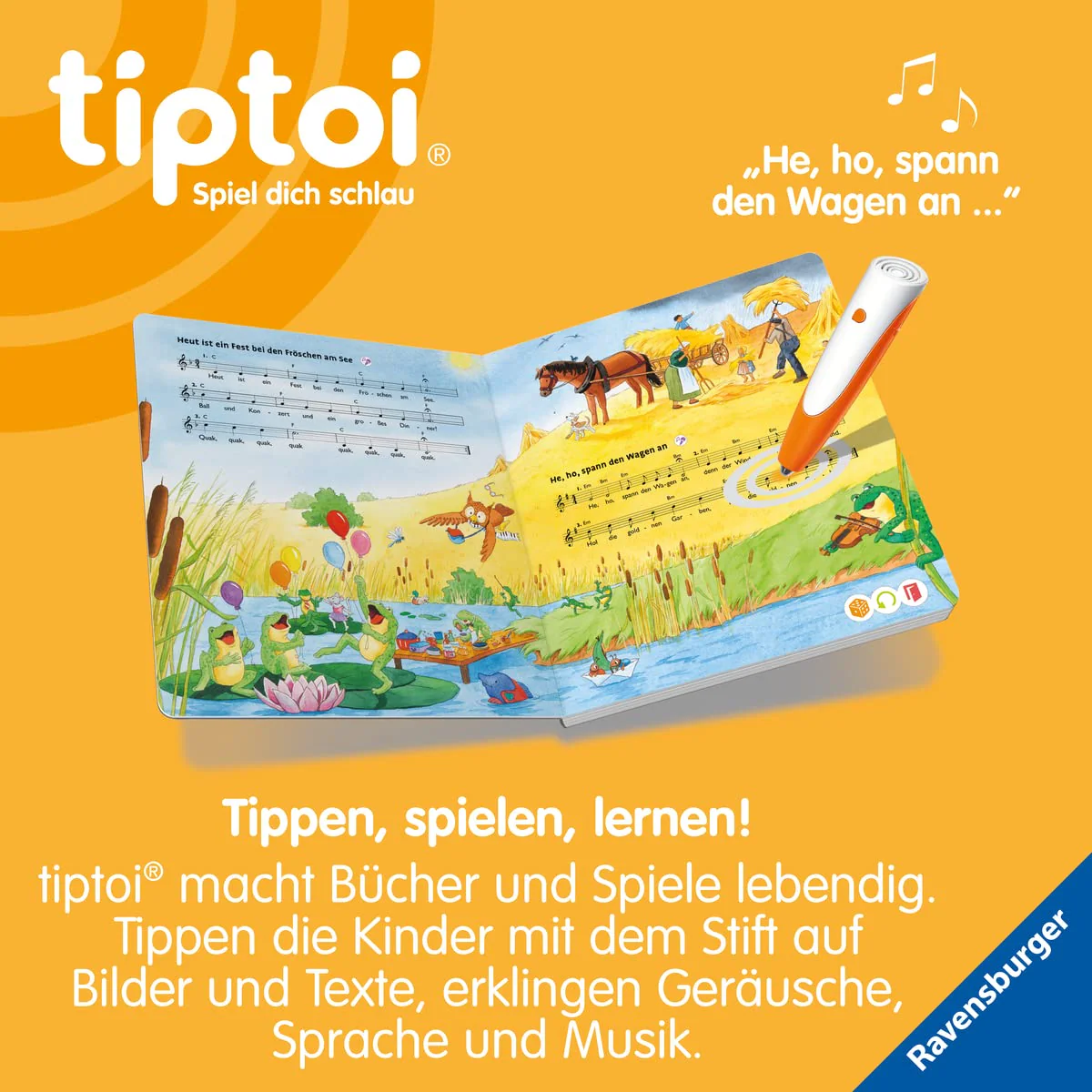 Vorschaubild 7