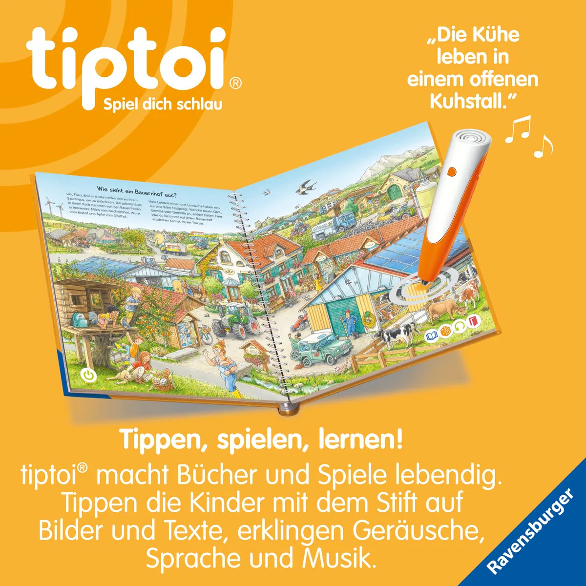 Vorschaubild 6