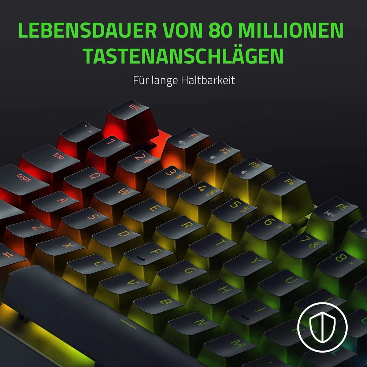 Vorschaubild 6