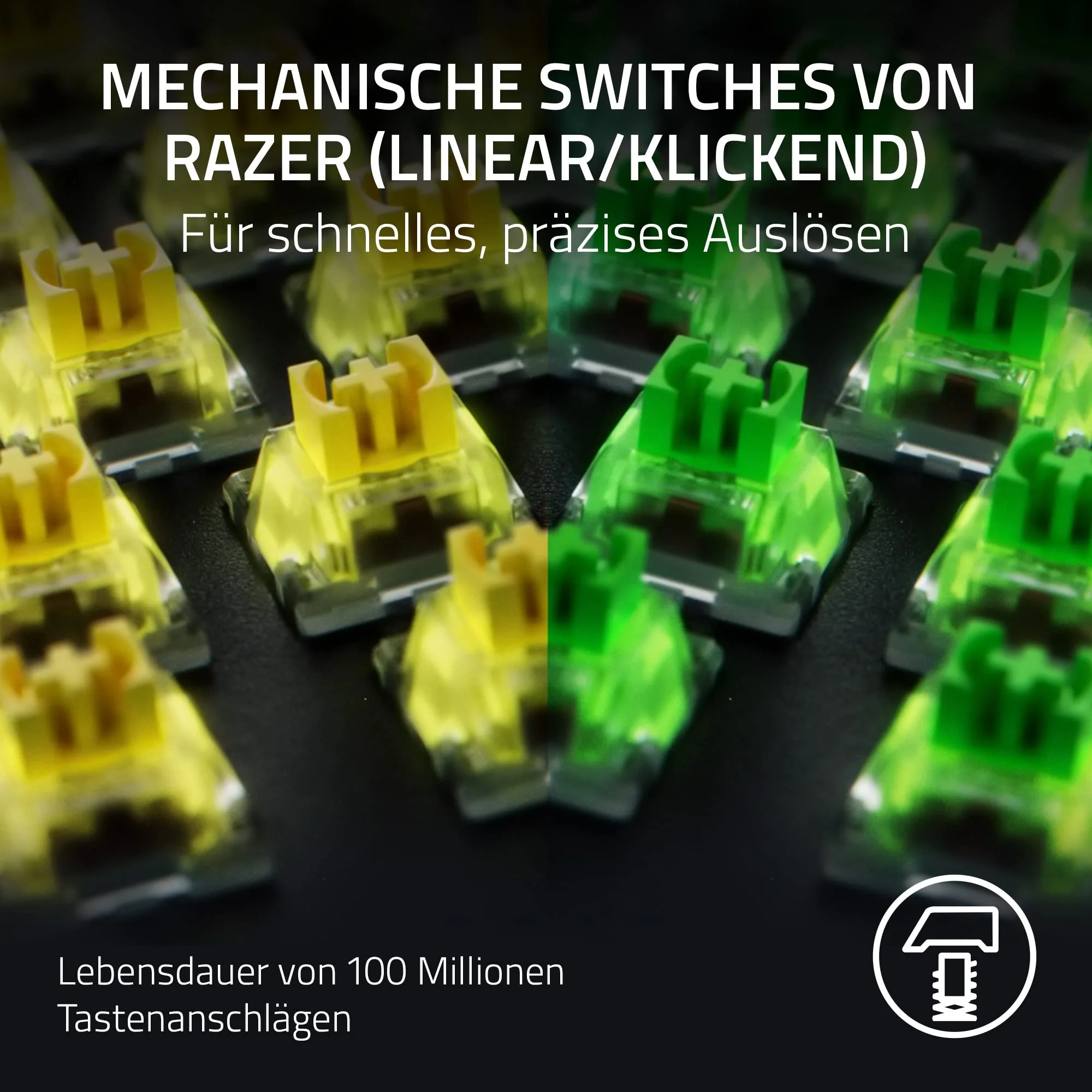 Vorschaubild 5