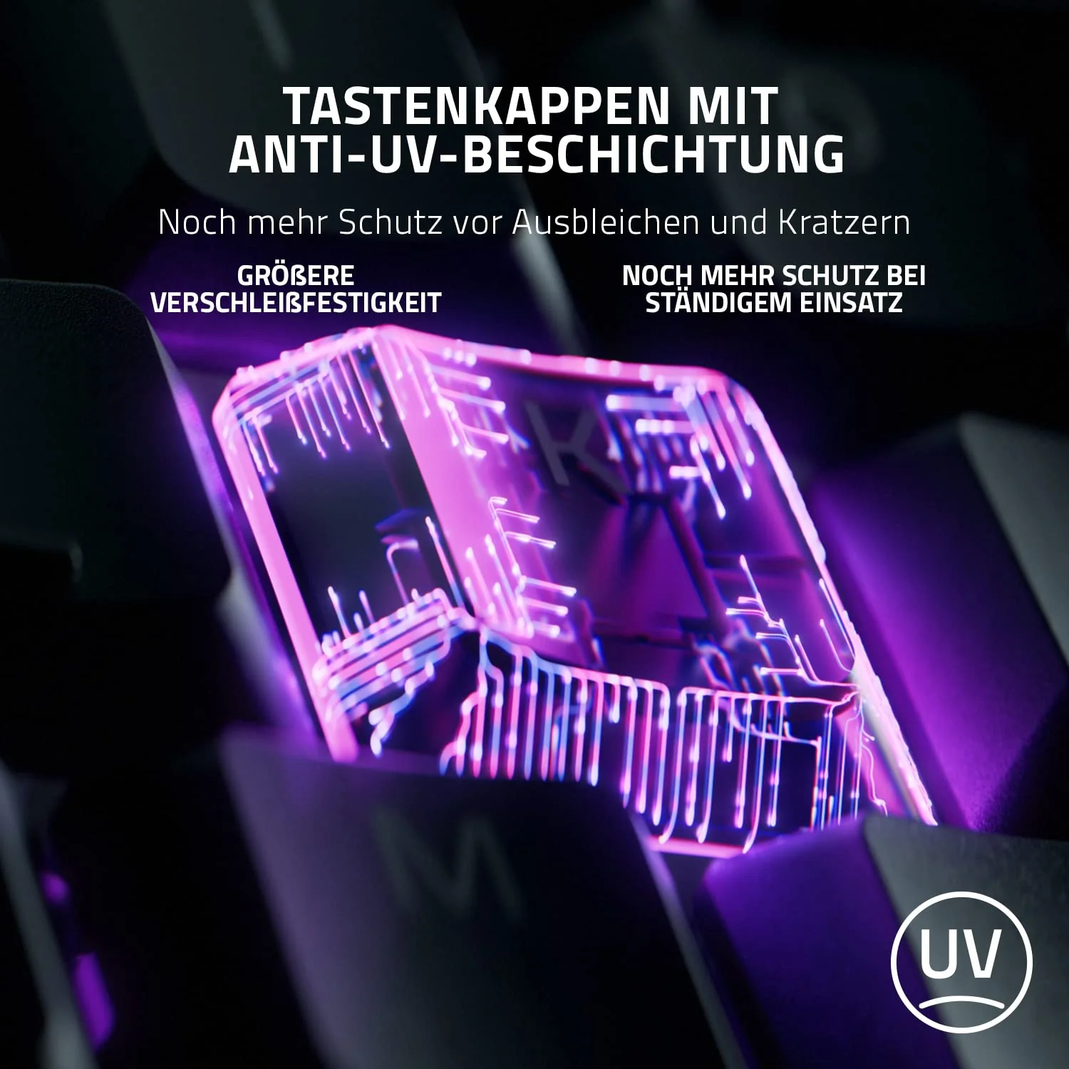 Vorschaubild 7