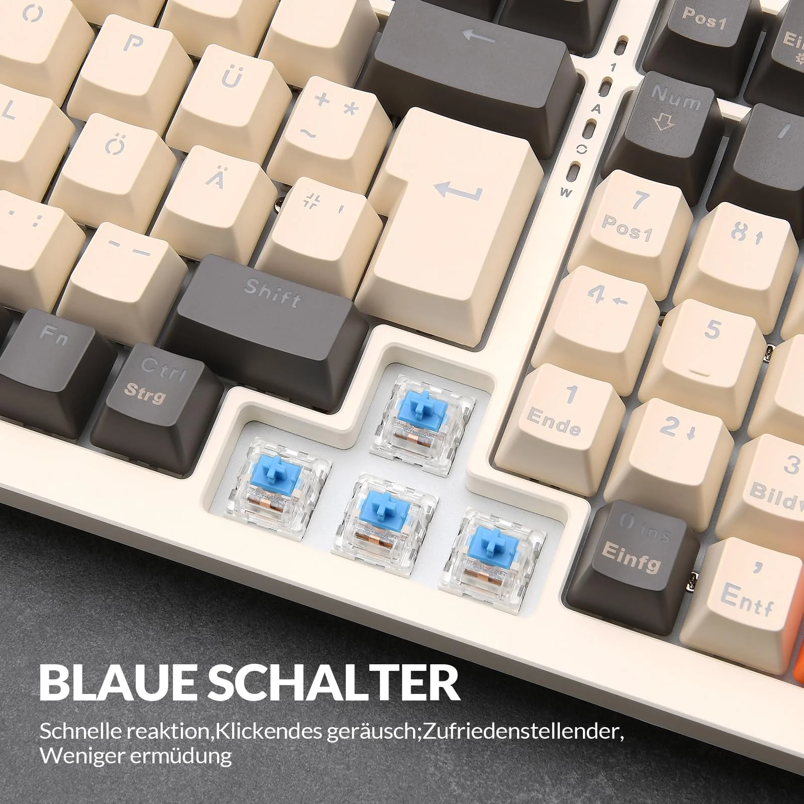 Vorschaubild 7
