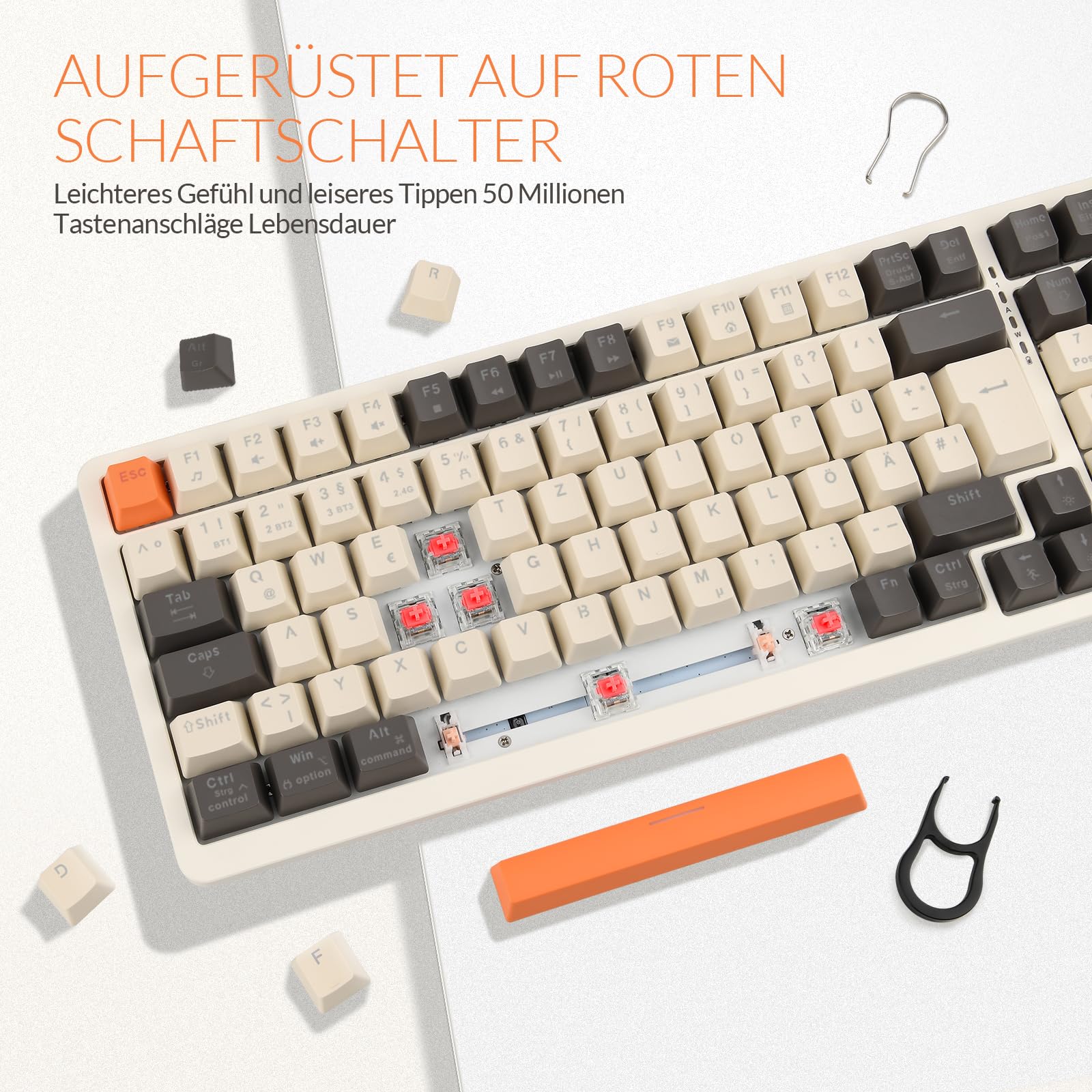 Vorschaubild 7
