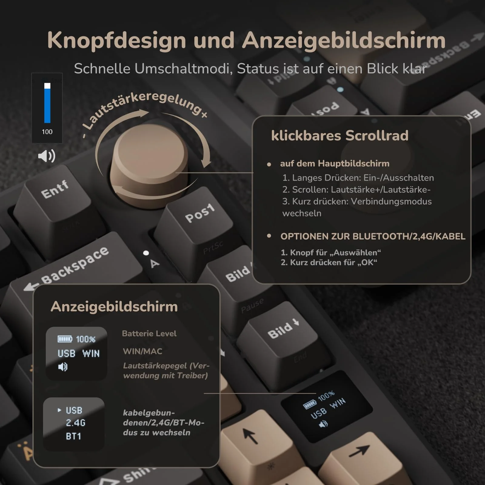 Vorschaubild 5