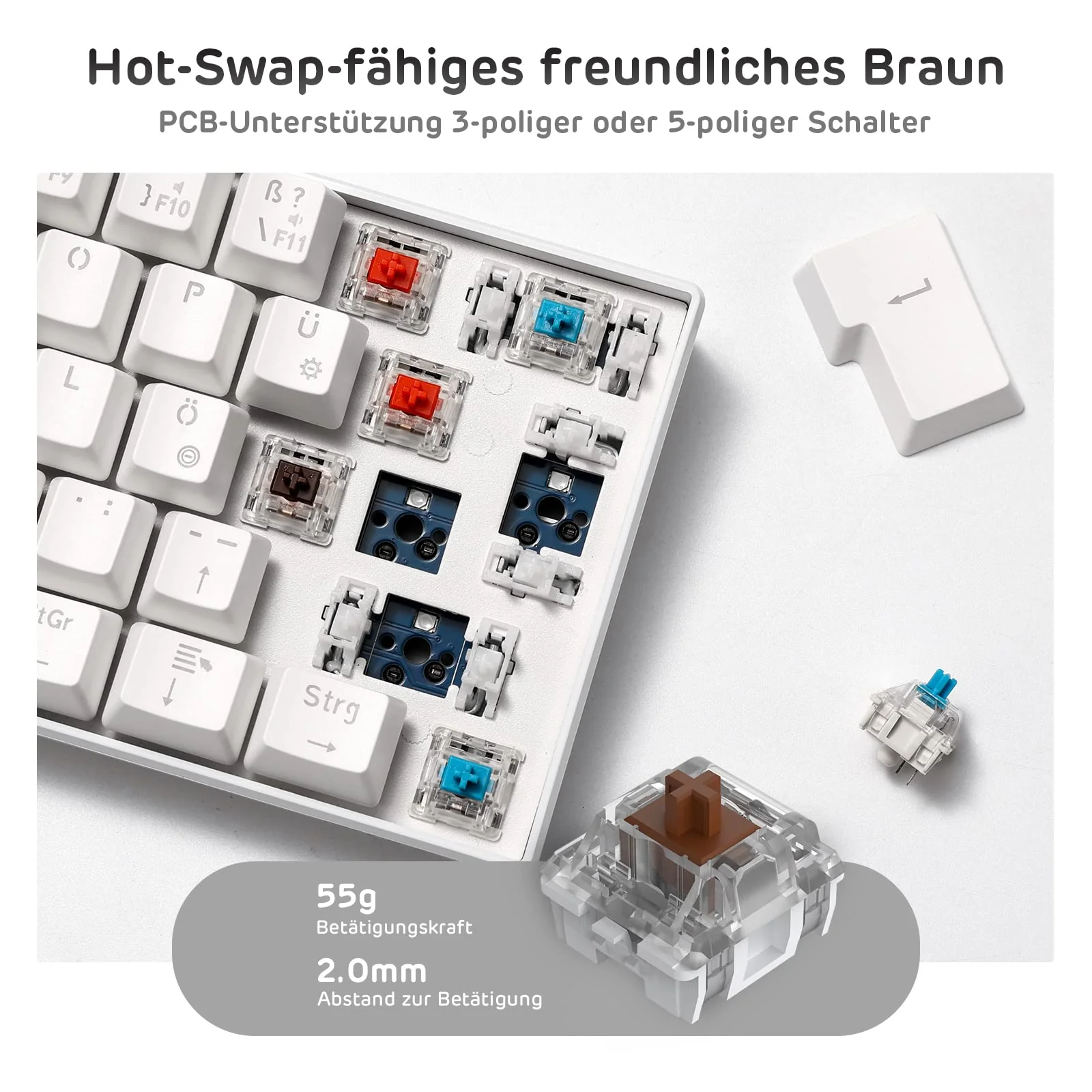 Vorschaubild 8