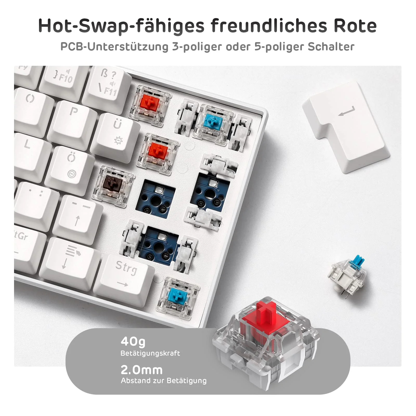 Vorschaubild 4