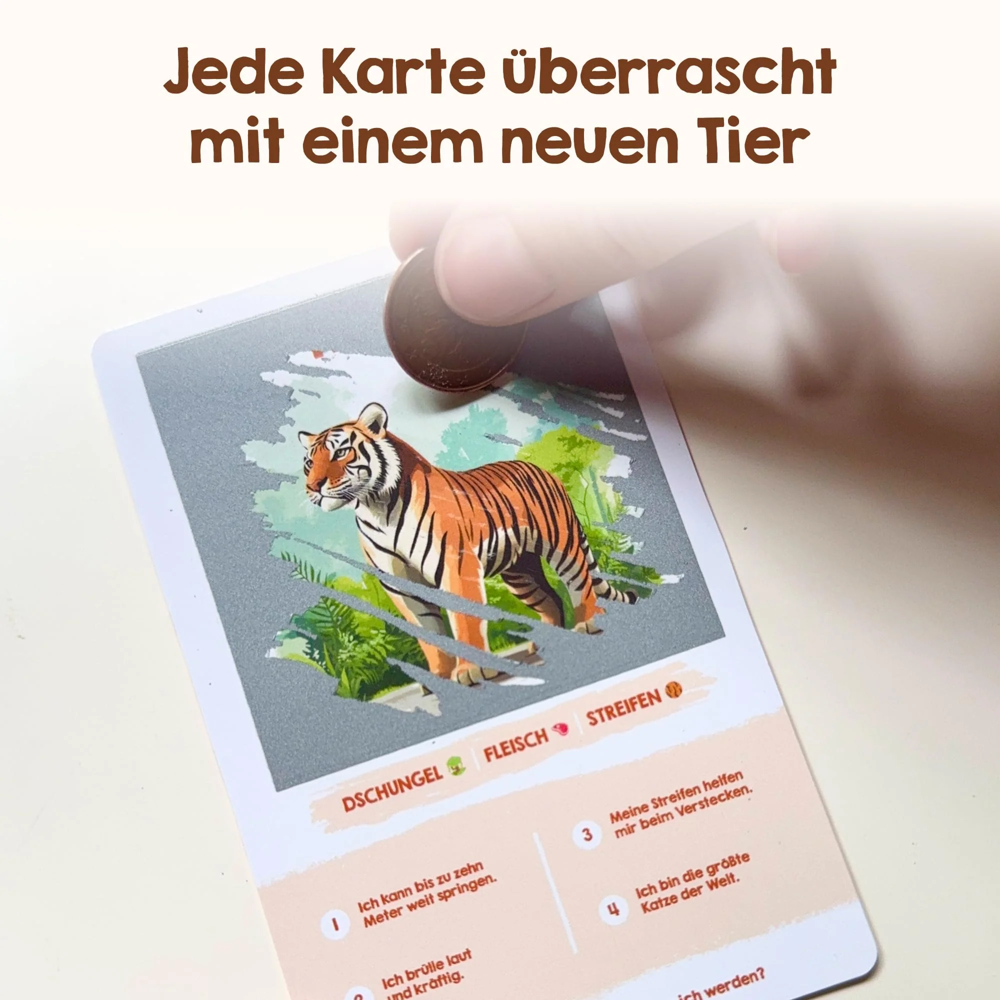 Vorschaubild 5