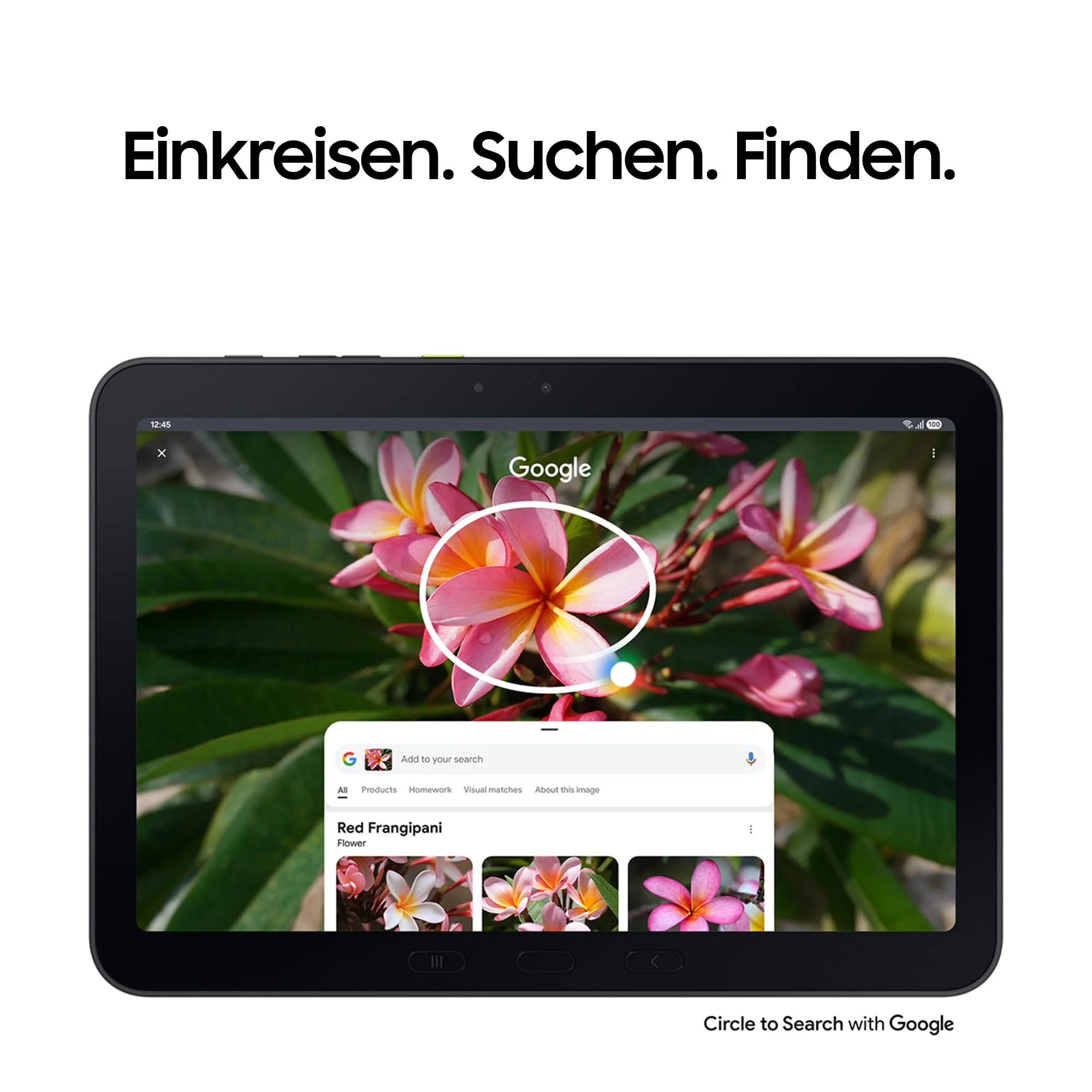 Vorschaubild 6