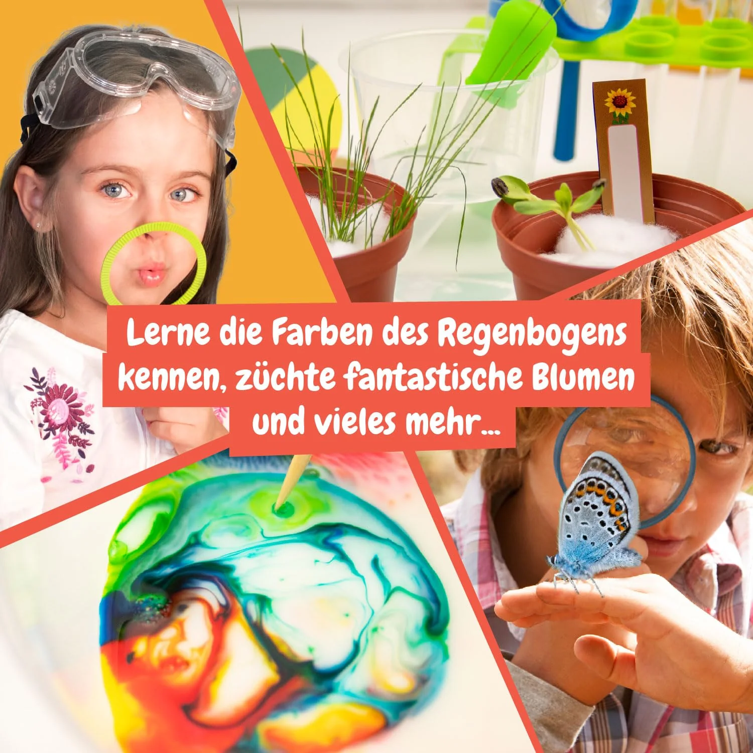 Vorschaubild 4