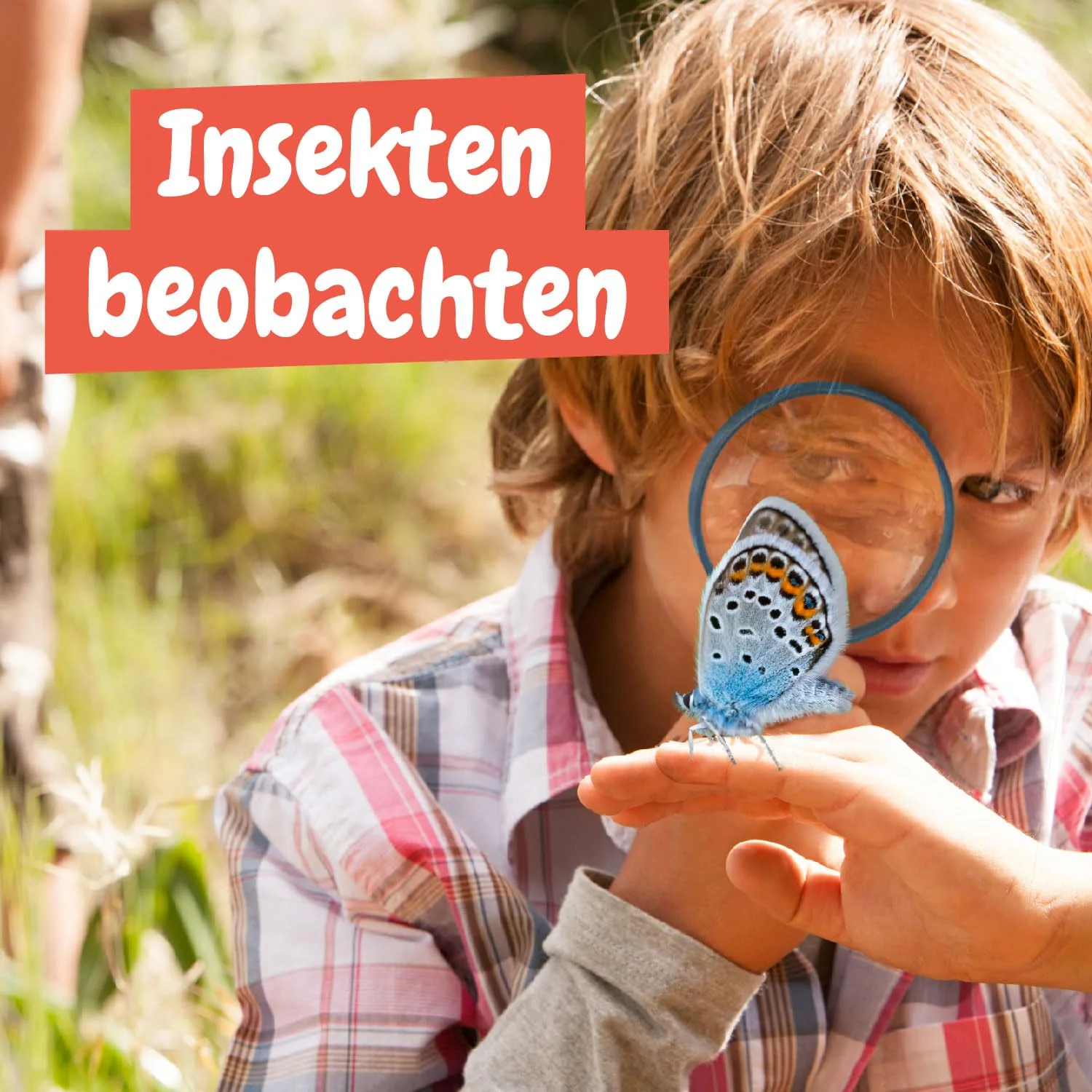 Vorschaubild 5