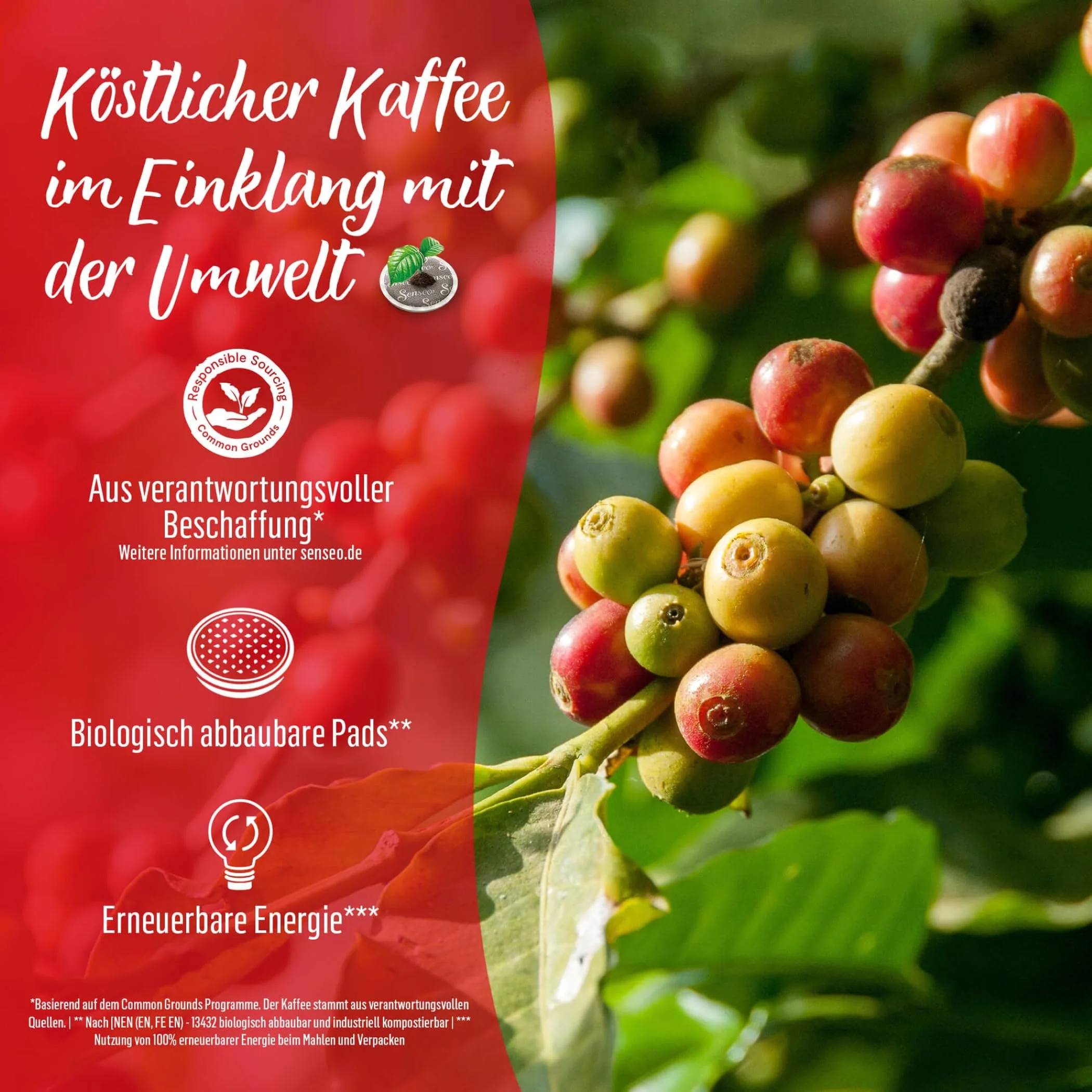 Vorschaubild 13