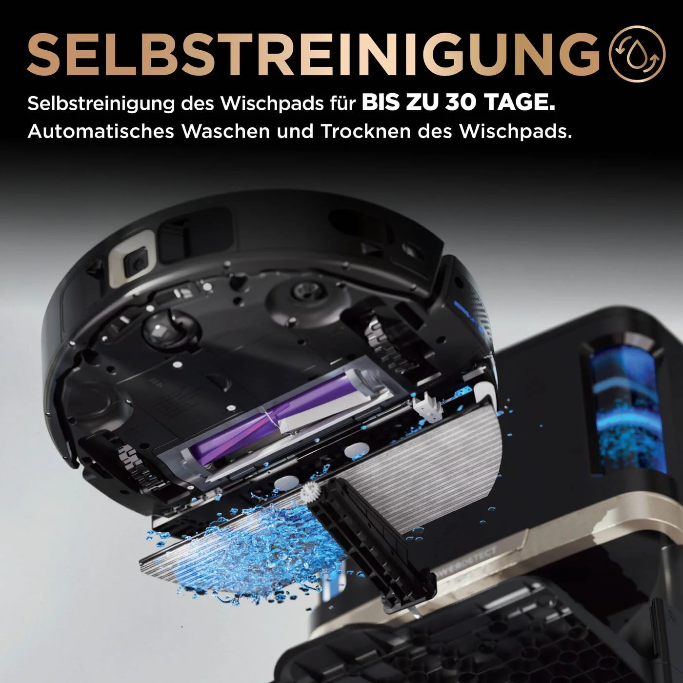 Vorschaubild 10