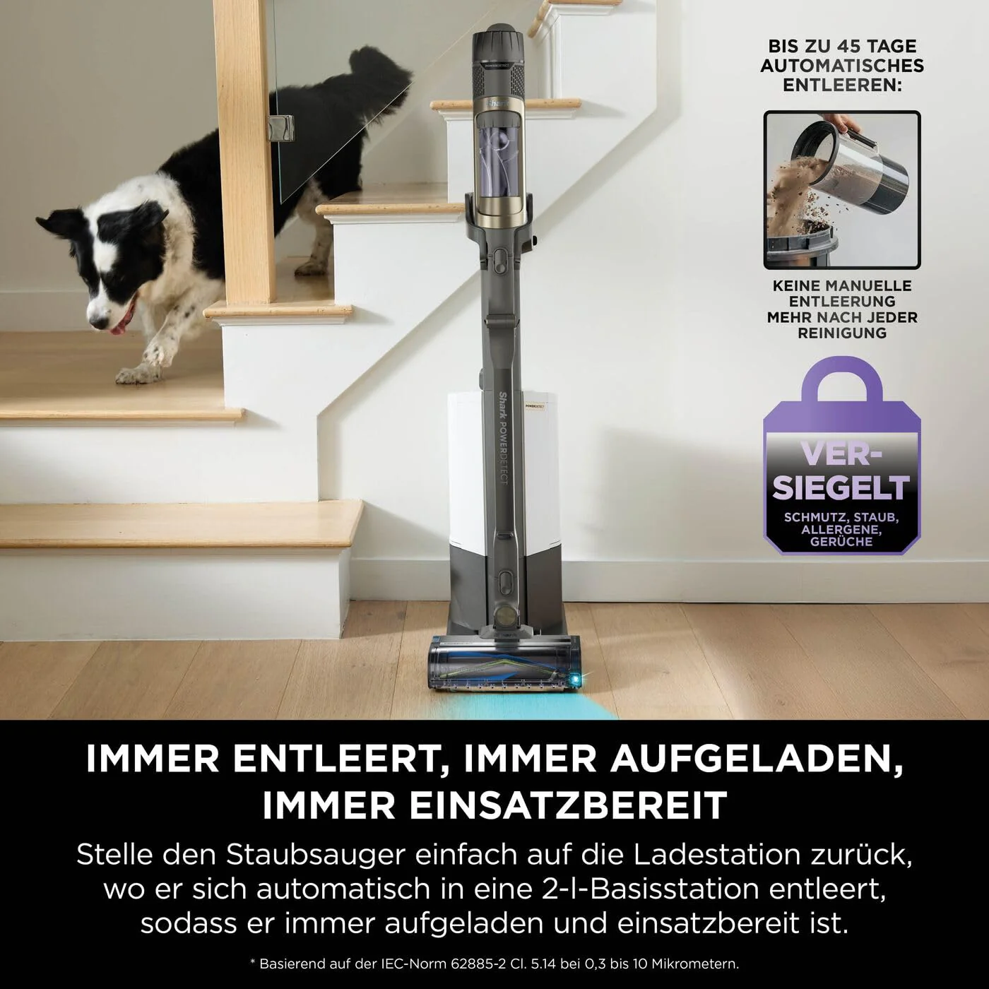 Vorschaubild 13