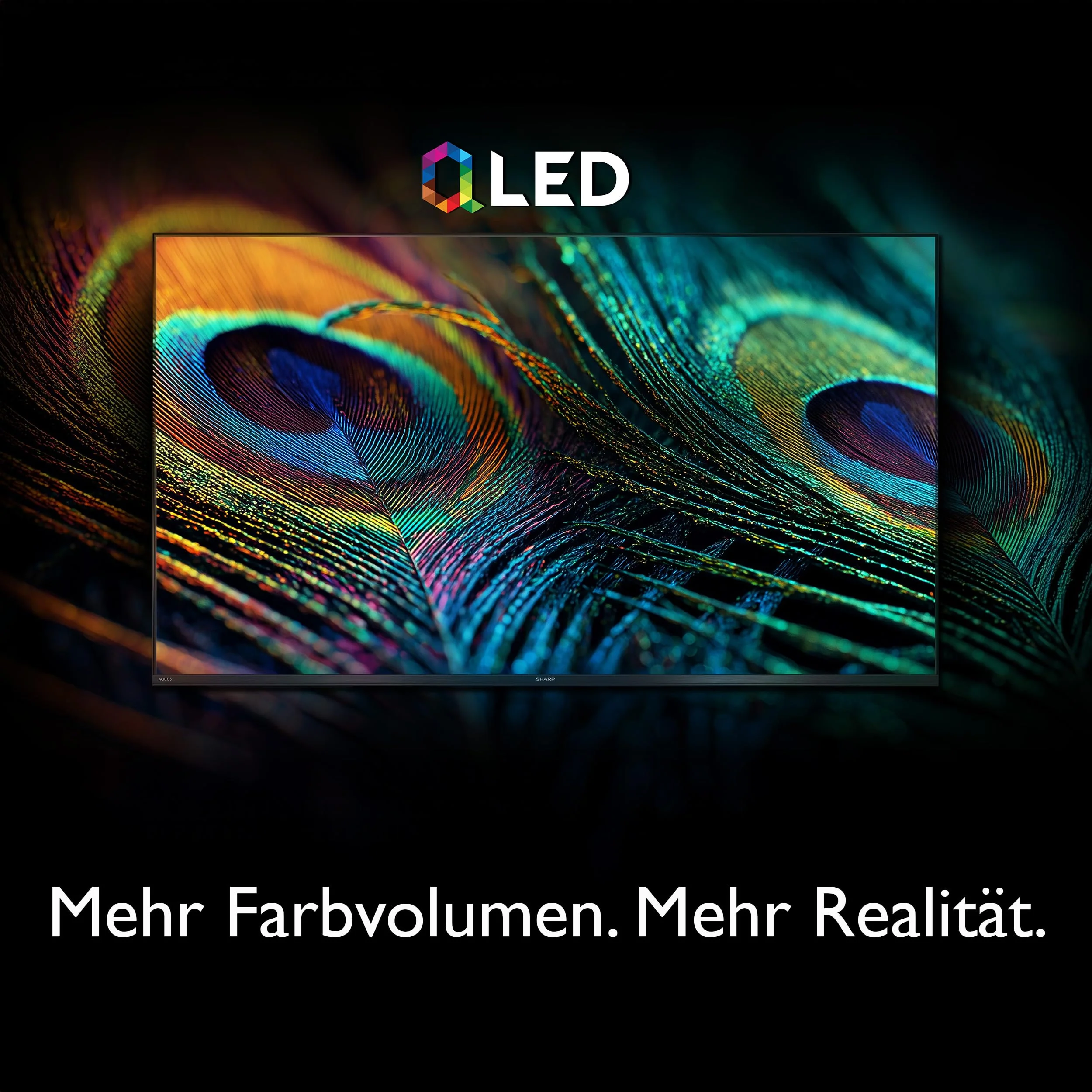 Vorschaubild 10