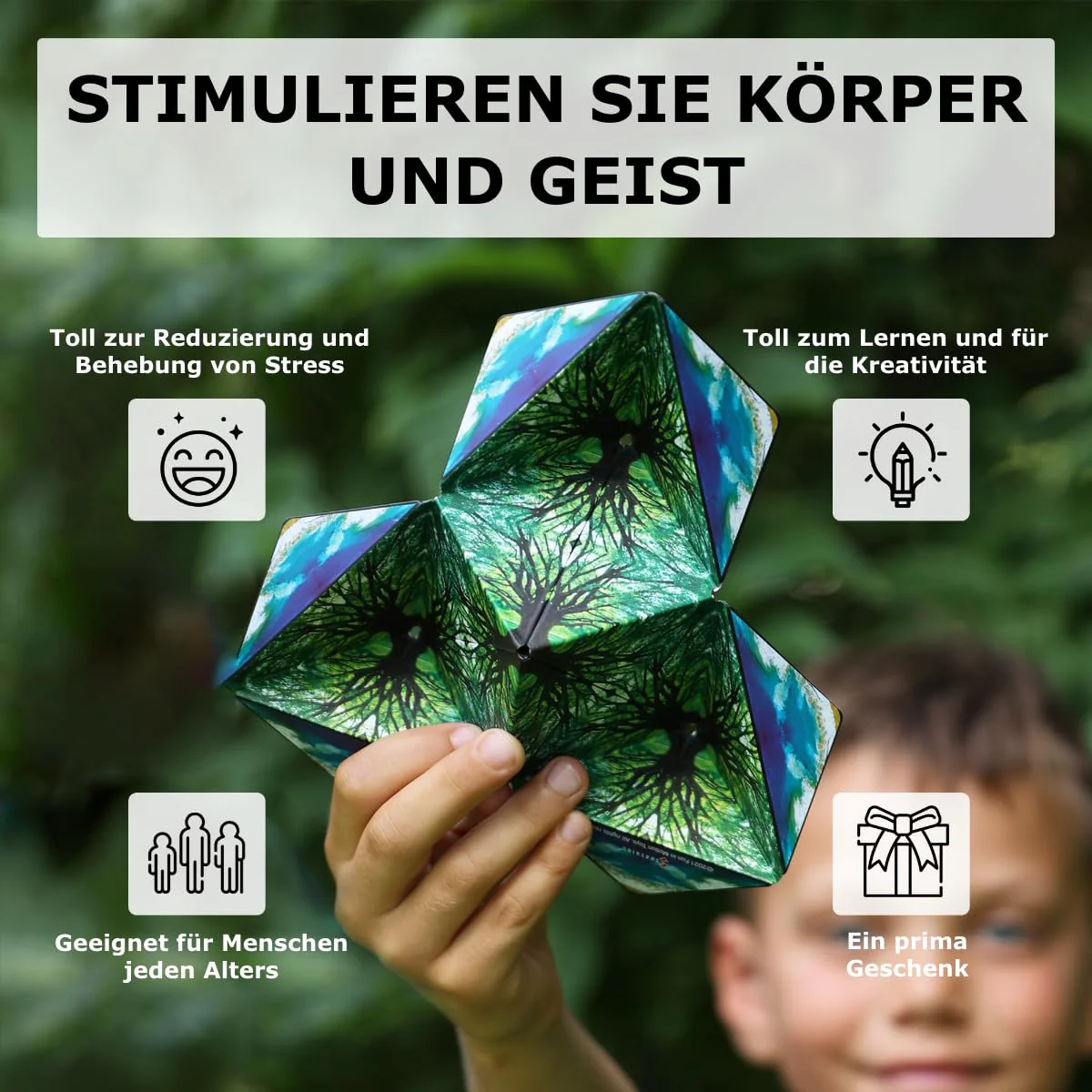 Vorschaubild 7