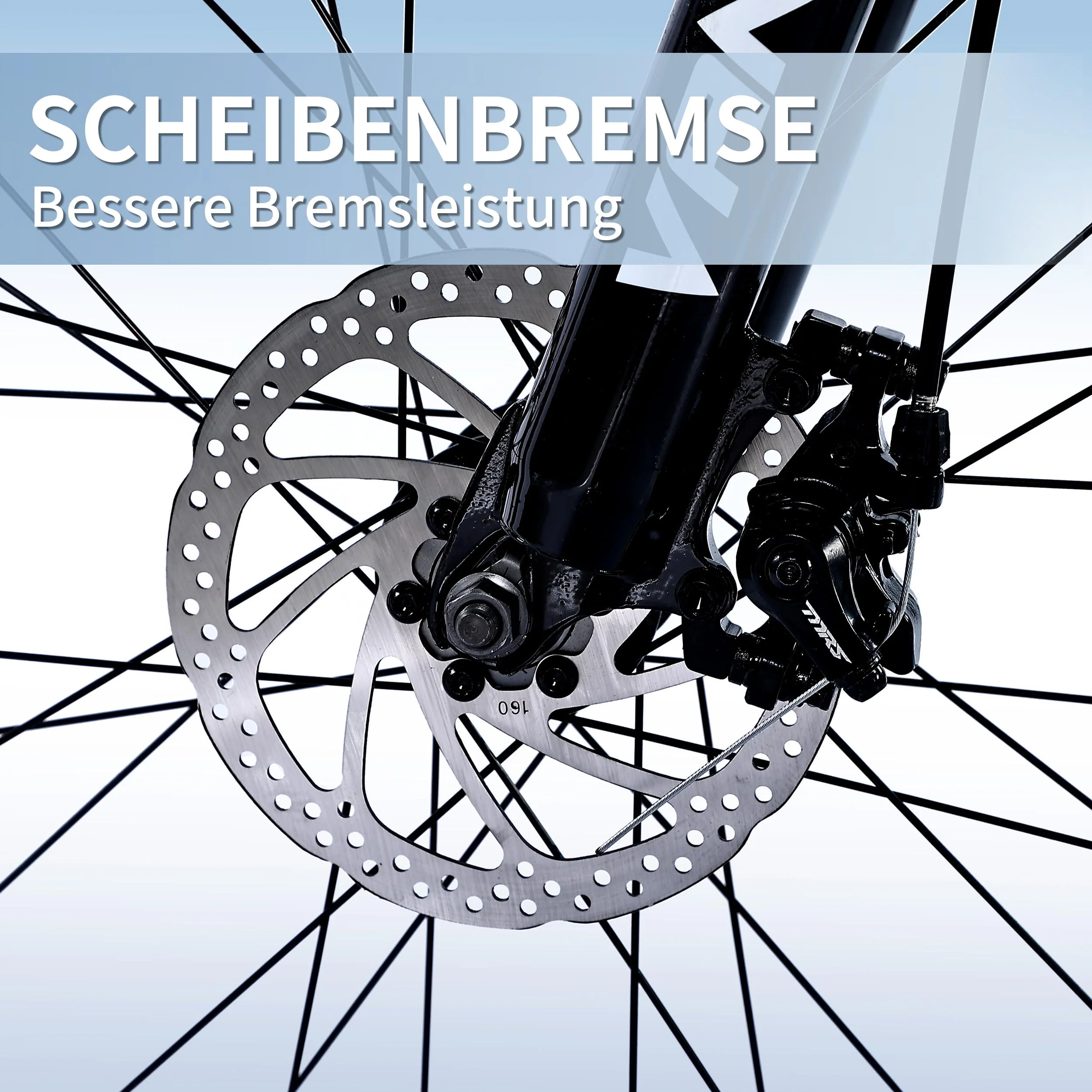 Vorschaubild 7