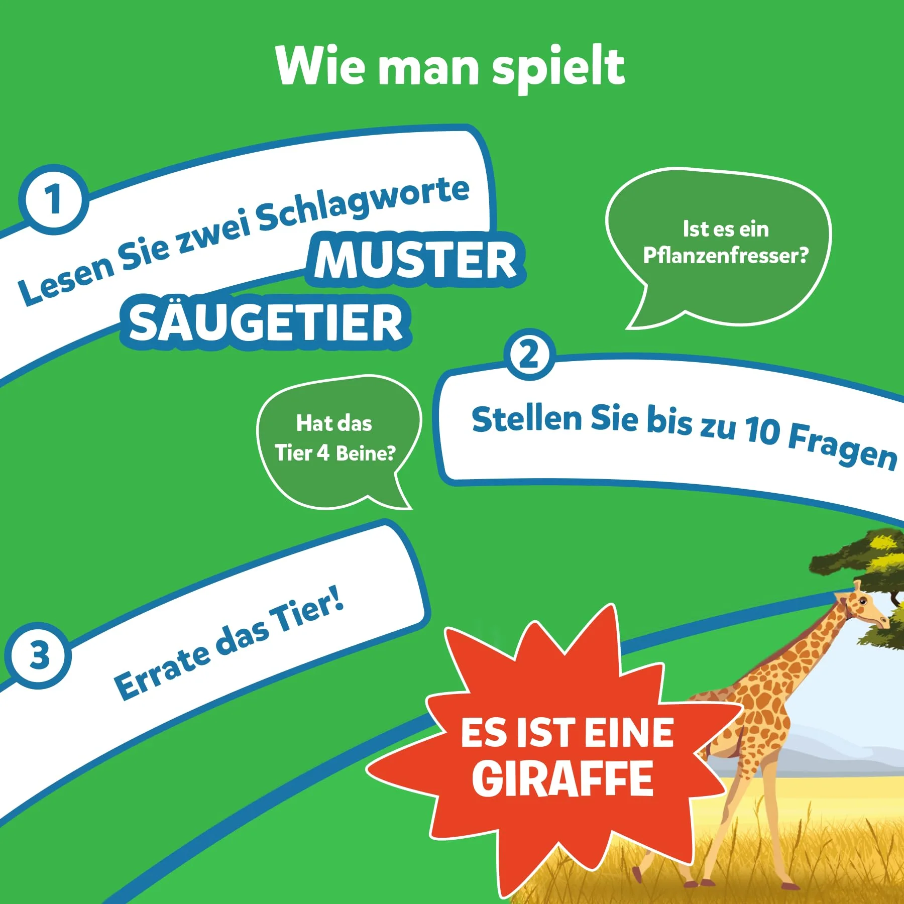 Vorschaubild 5