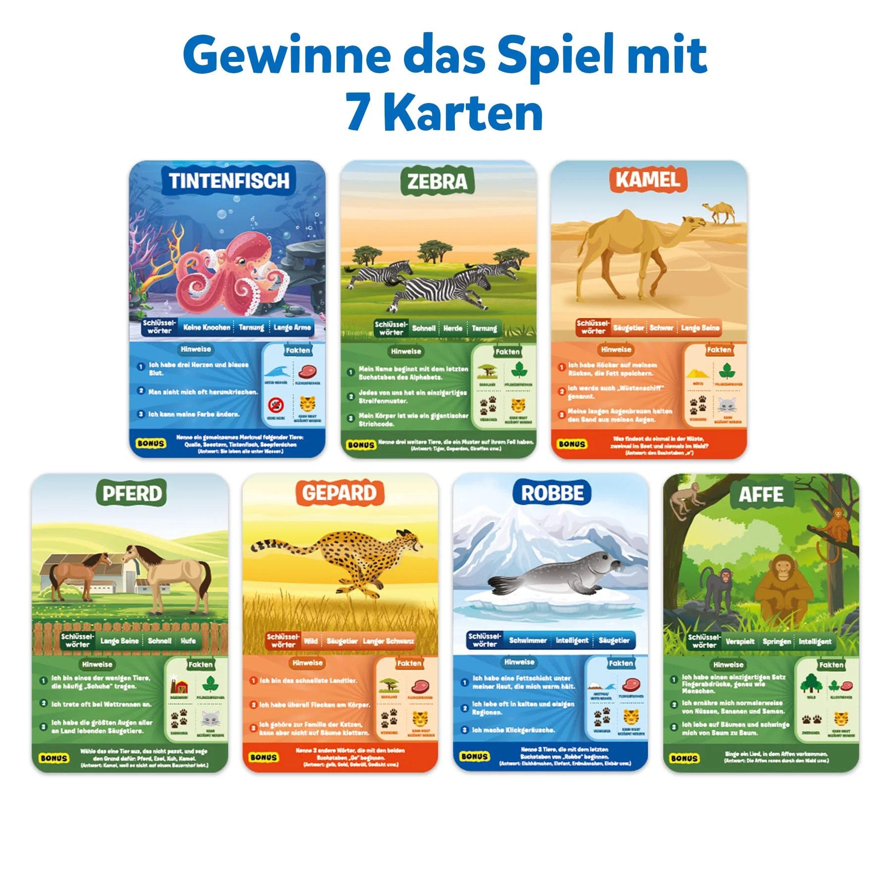 Vorschaubild 6