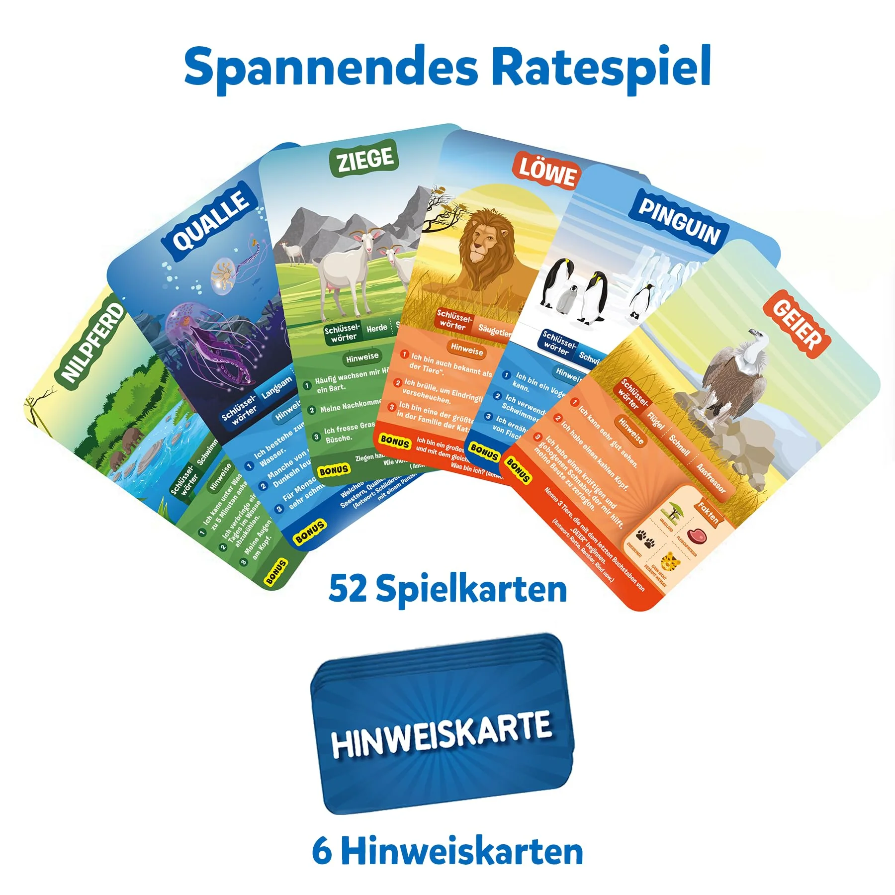 Vorschaubild 8