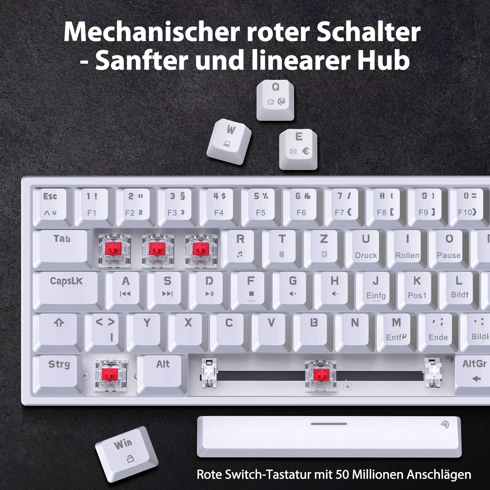 Vorschaubild 5