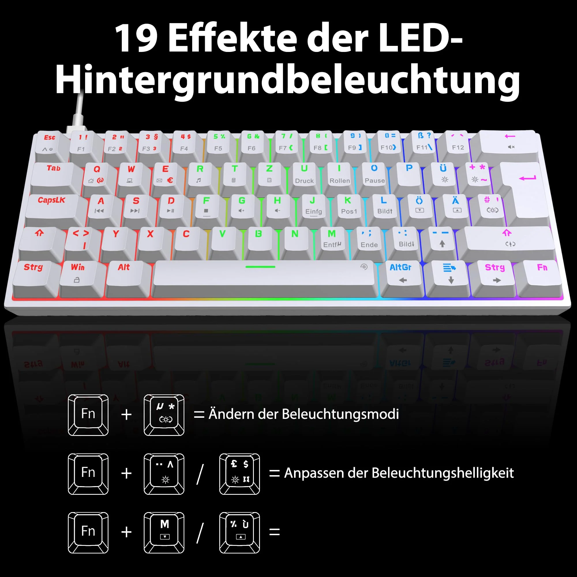 Vorschaubild 7