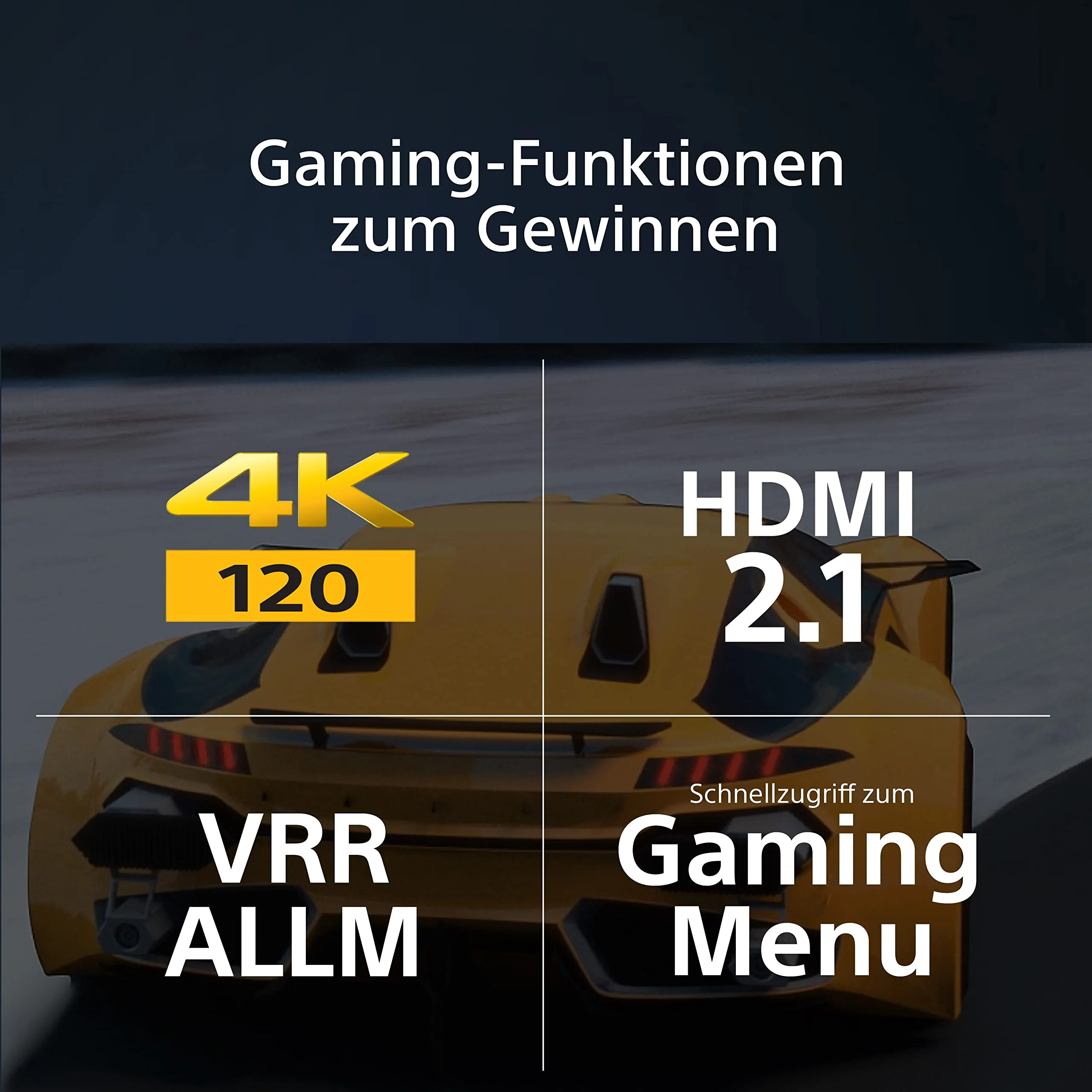 Vorschaubild 12