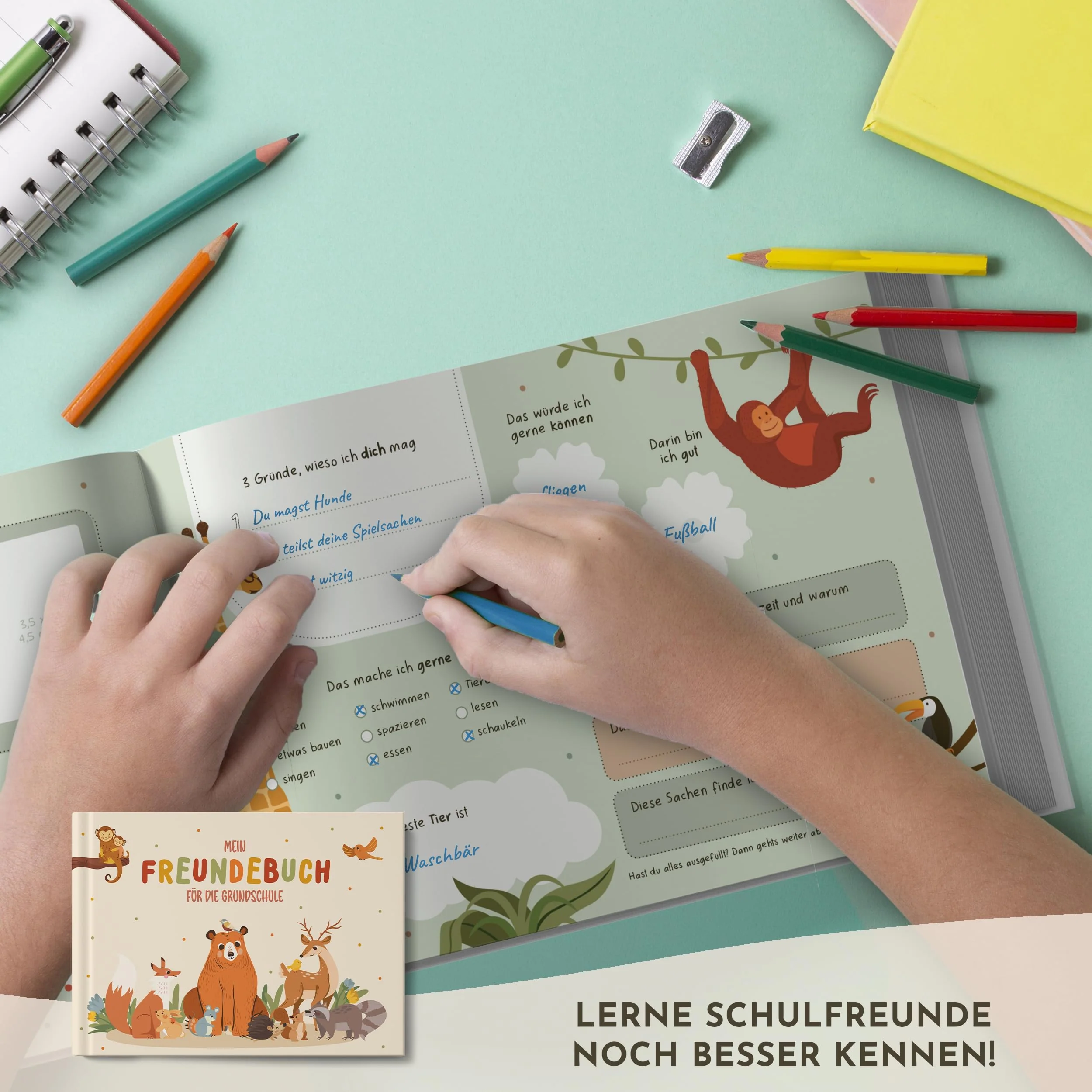 Vorschaubild 3