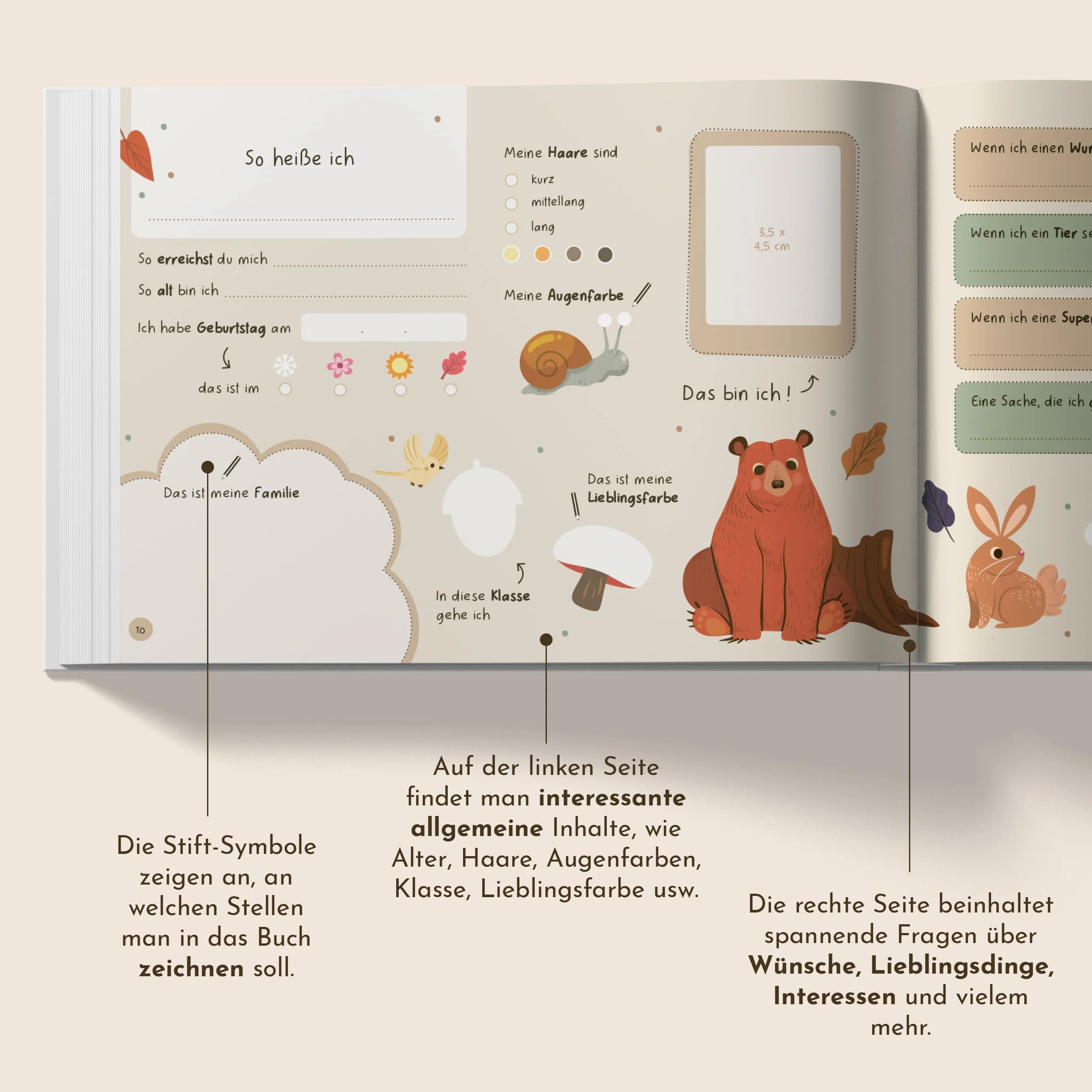 Vorschaubild 6