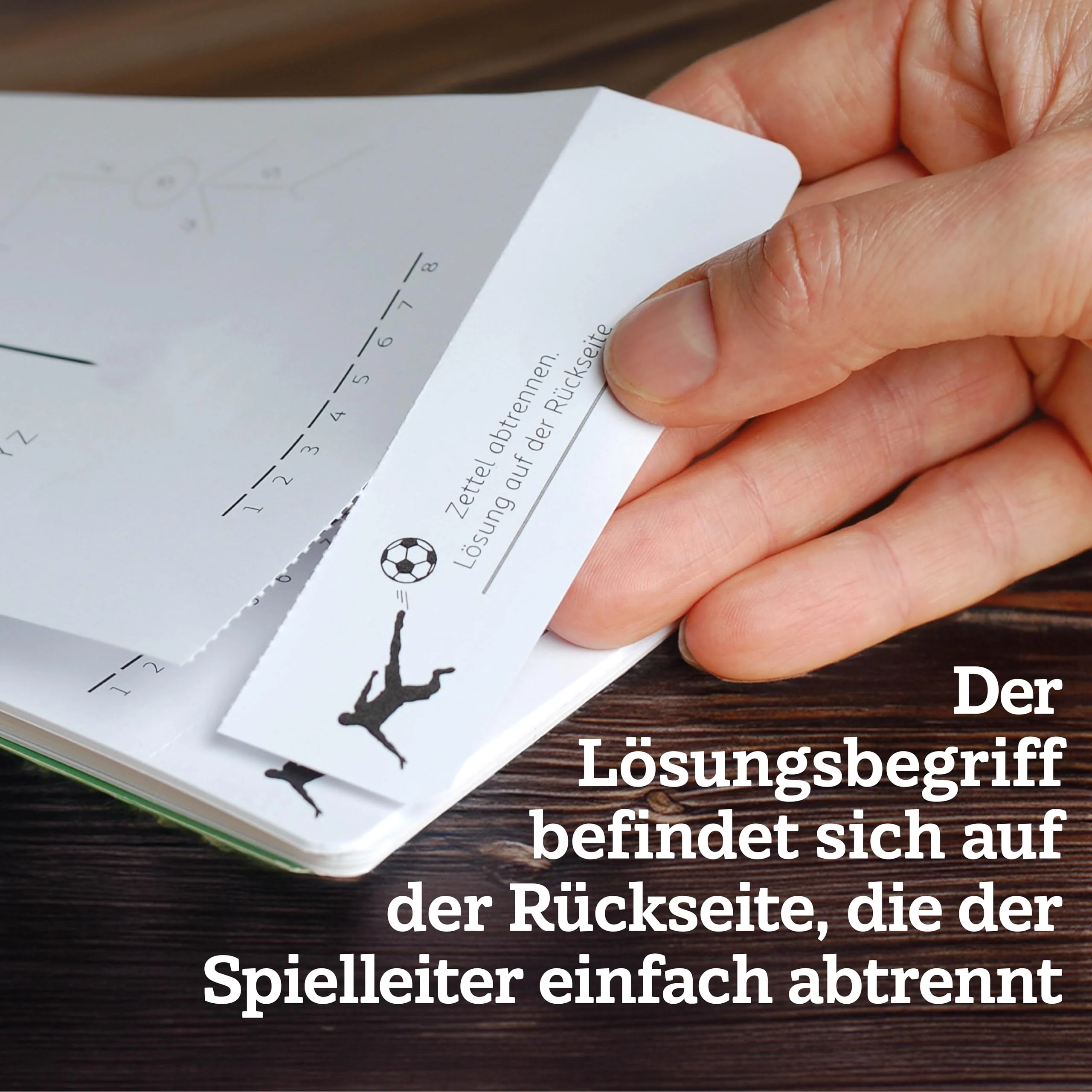 Vorschaubild 6